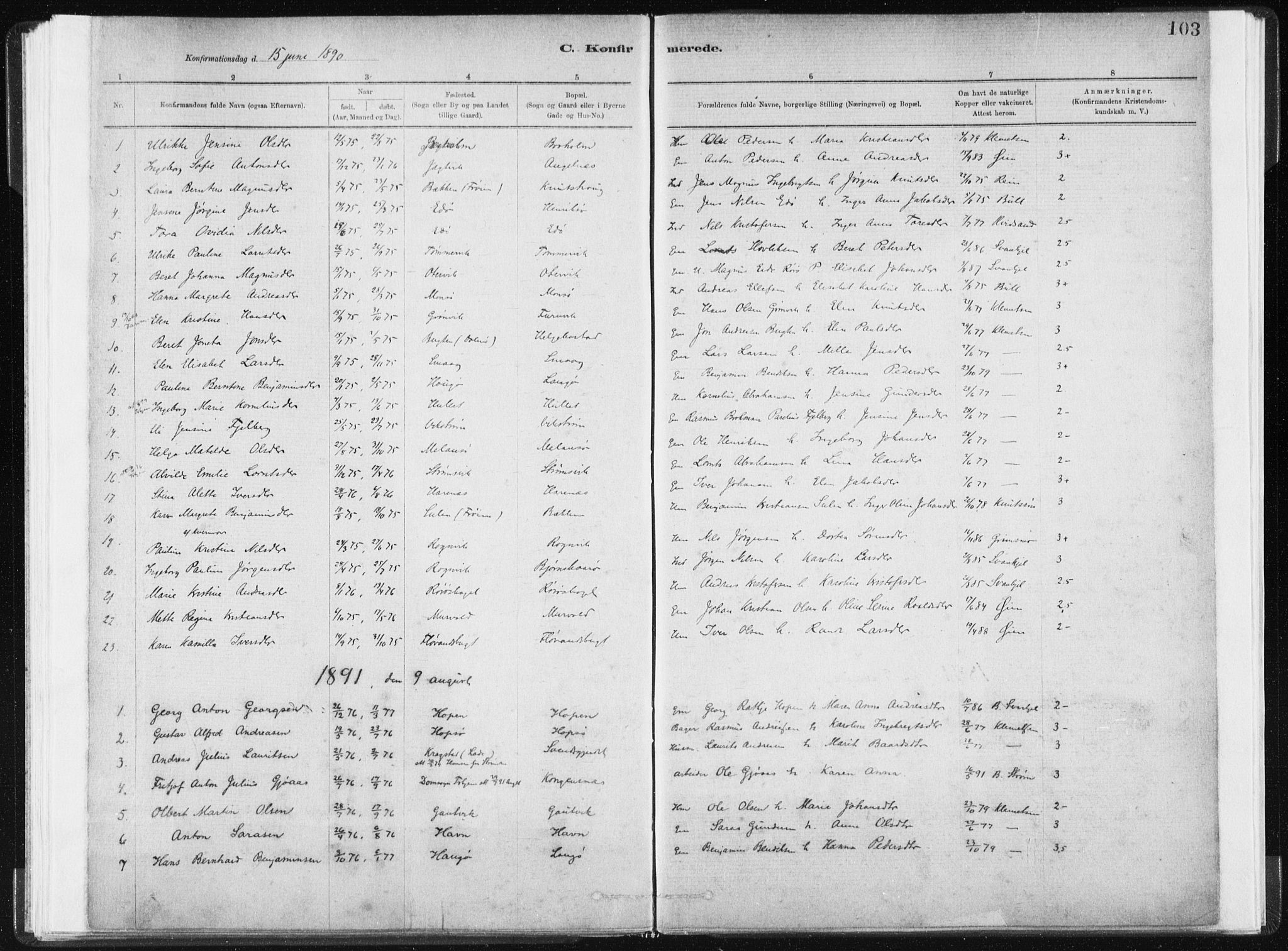 Ministerialprotokoller, klokkerbøker og fødselsregistre - Sør-Trøndelag, SAT/A-1456/634/L0533: Parish register (official) no. 634A09, 1882-1901, p. 103