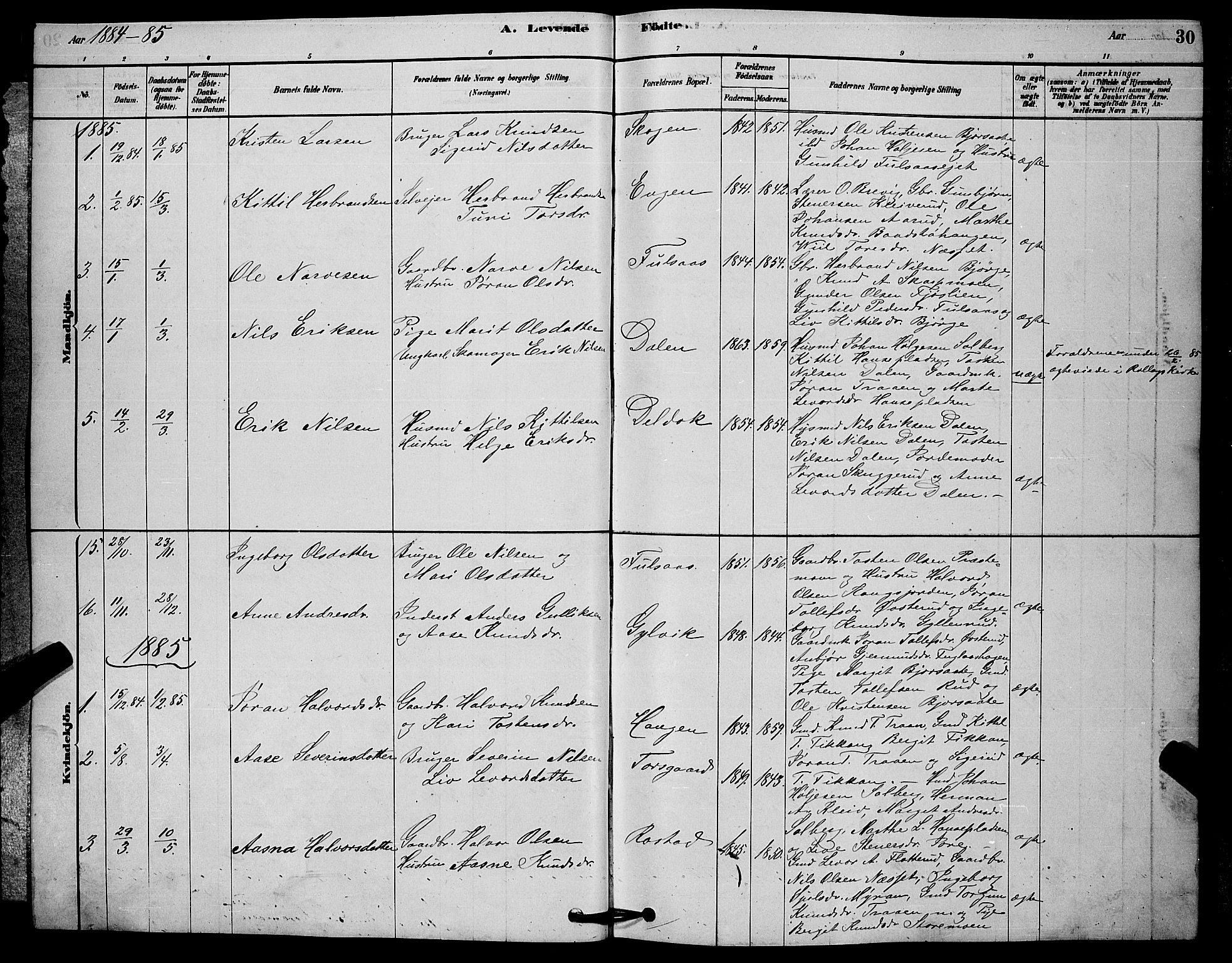 Rollag kirkebøker, AV/SAKO-A-240/G/Ga/L0004: Parish register (copy) no. I 4, 1878-1903, p. 30