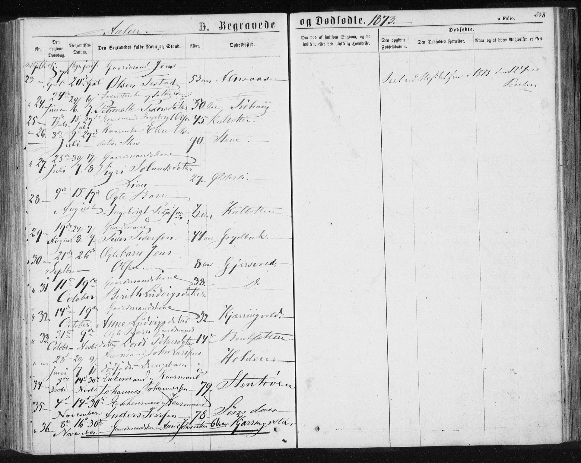 Ministerialprotokoller, klokkerbøker og fødselsregistre - Sør-Trøndelag, SAT/A-1456/685/L0971: Parish register (official) no. 685A08 /3, 1870-1879, p. 258