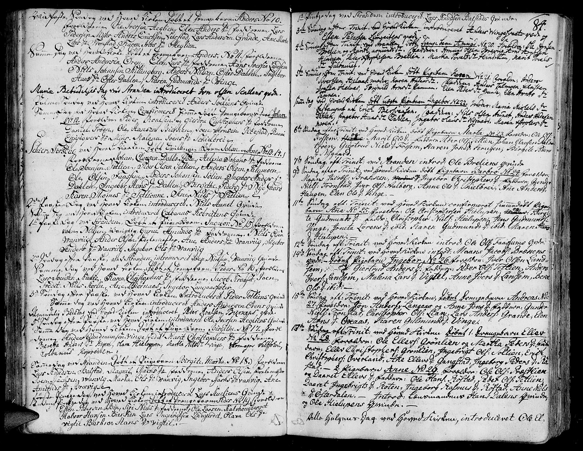 Ministerialprotokoller, klokkerbøker og fødselsregistre - Nord-Trøndelag, SAT/A-1458/701/L0004: Parish register (official) no. 701A04, 1783-1816, p. 84