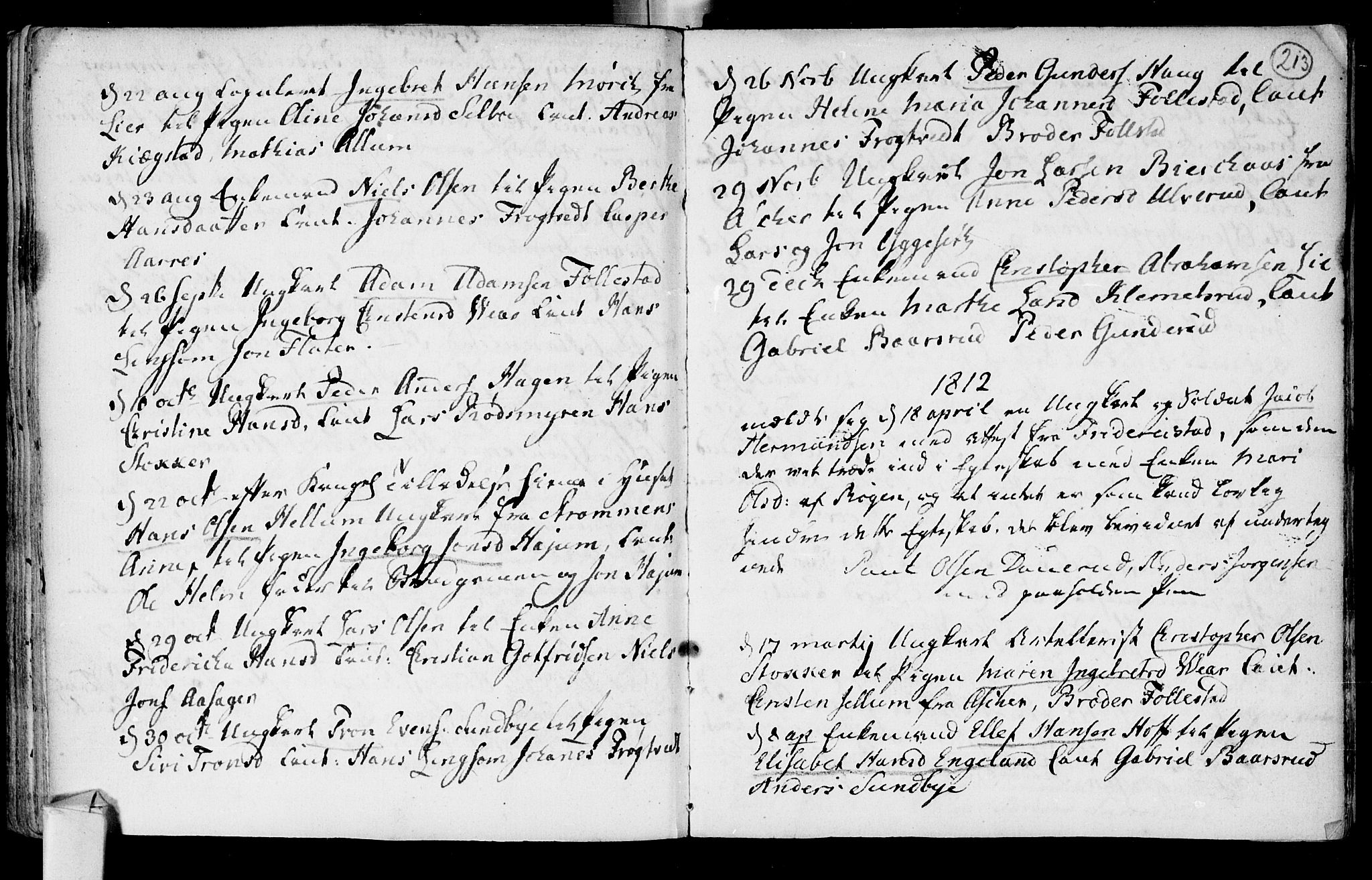 Røyken kirkebøker, SAKO/A-241/F/Fa/L0003: Parish register (official) no. 3, 1782-1813, p. 213