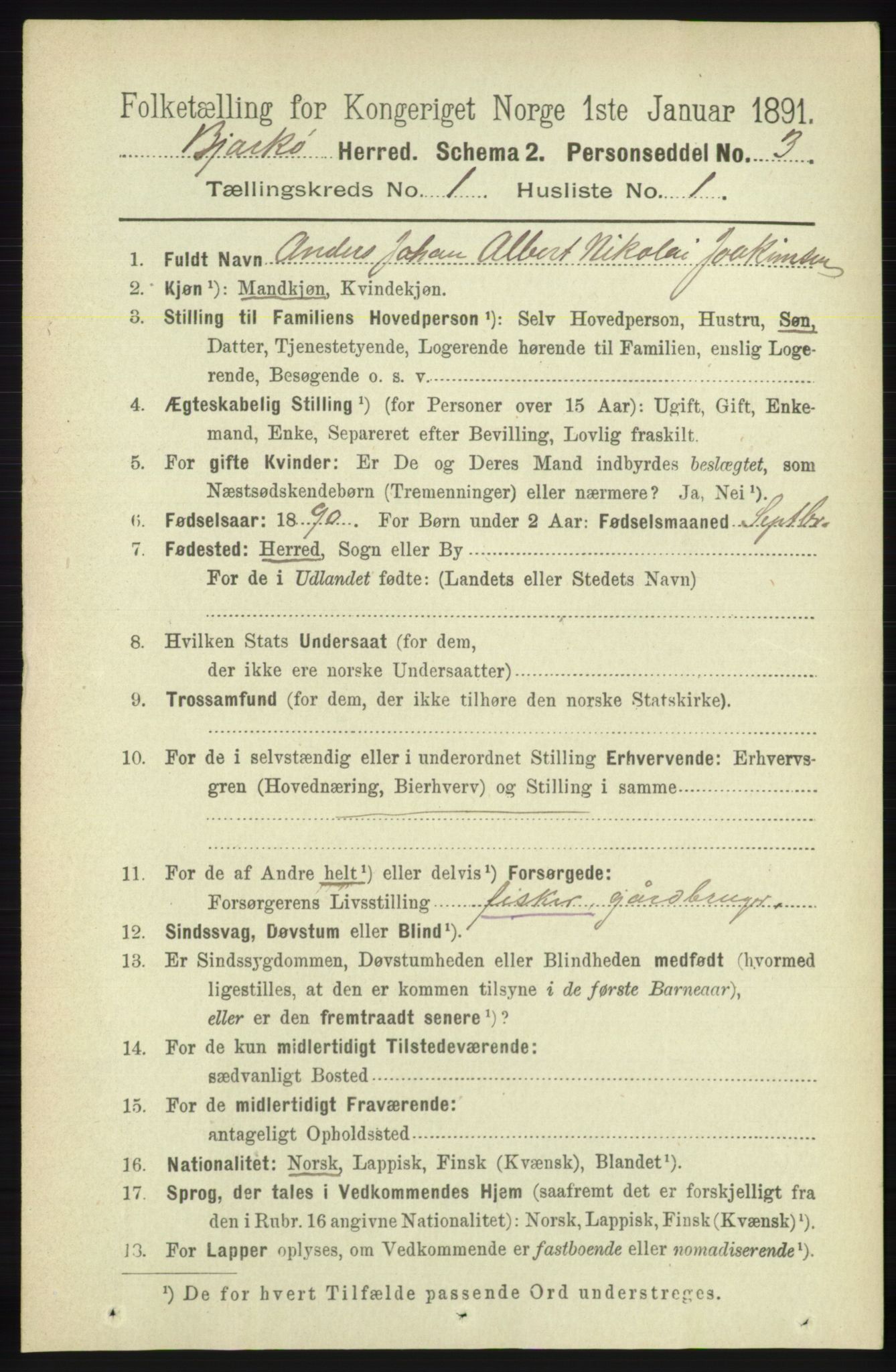 RA, 1891 census for 1915 Bjarkøy, 1891, p. 95