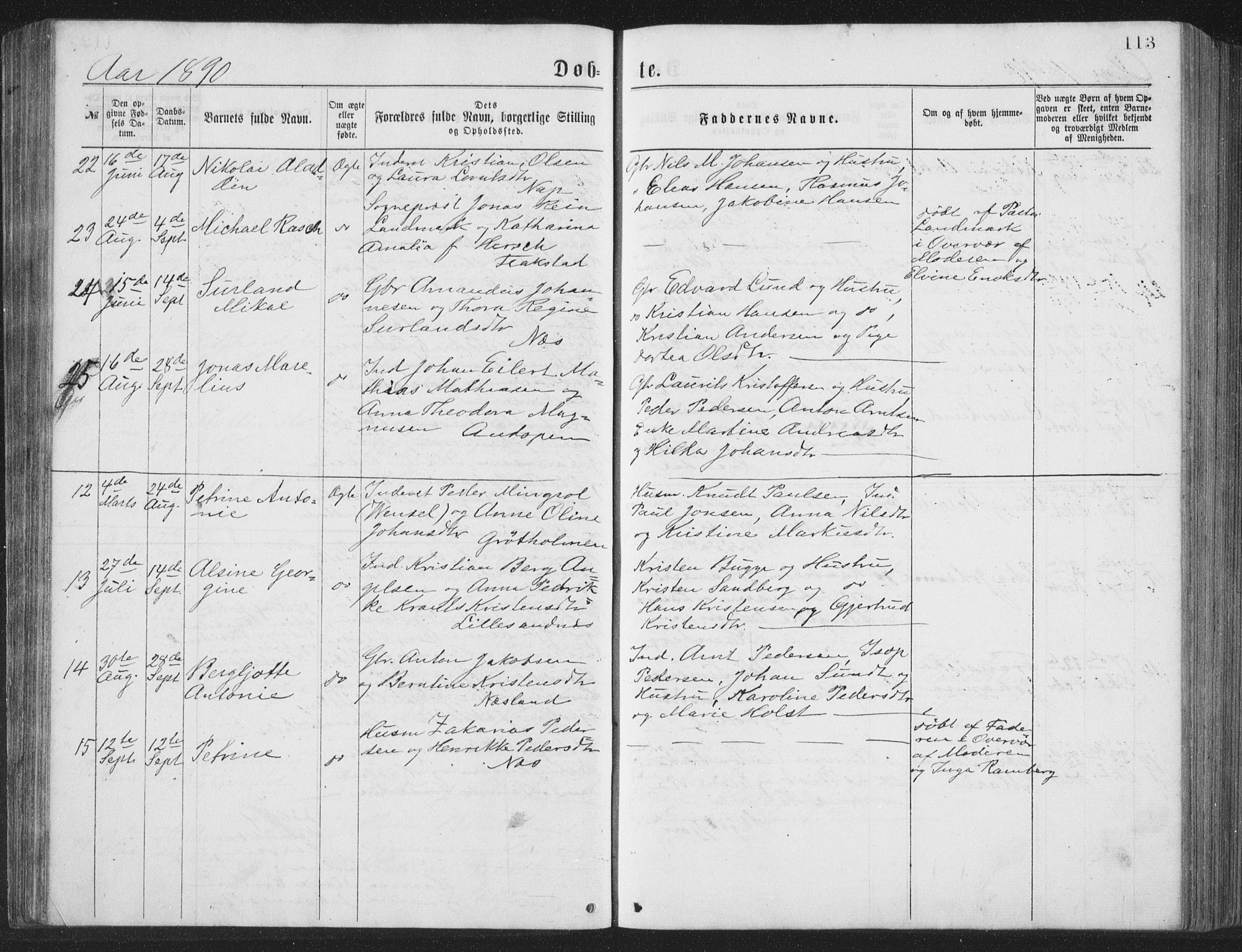 Ministerialprotokoller, klokkerbøker og fødselsregistre - Nordland, AV/SAT-A-1459/885/L1213: Parish register (copy) no. 885C02, 1874-1892, p. 113