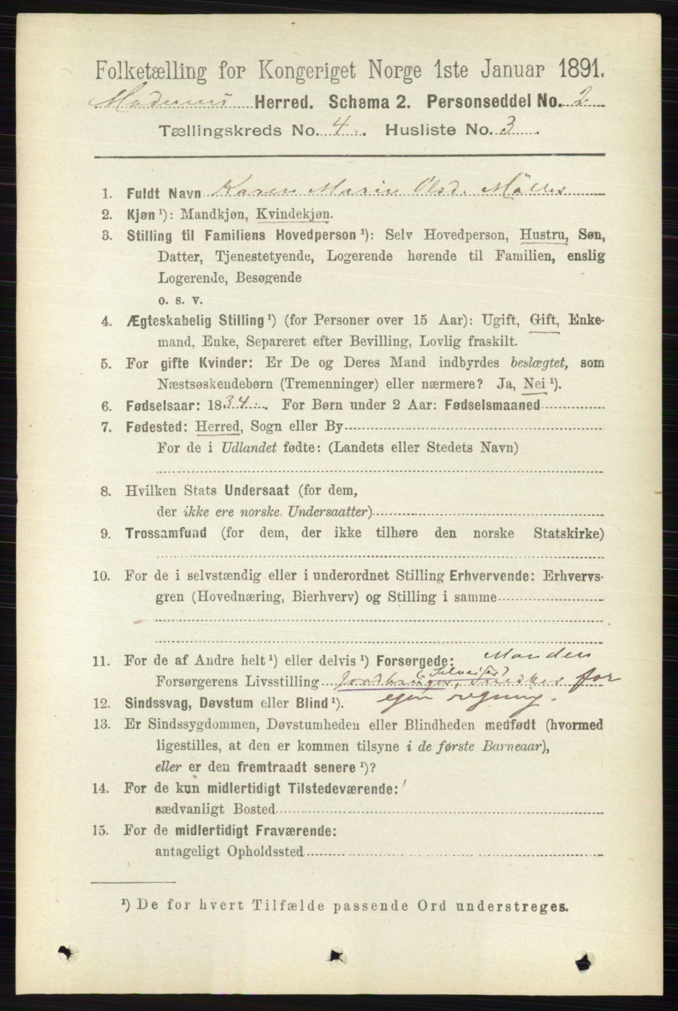 RA, 1891 census for 0623 Modum, 1891, p. 1002