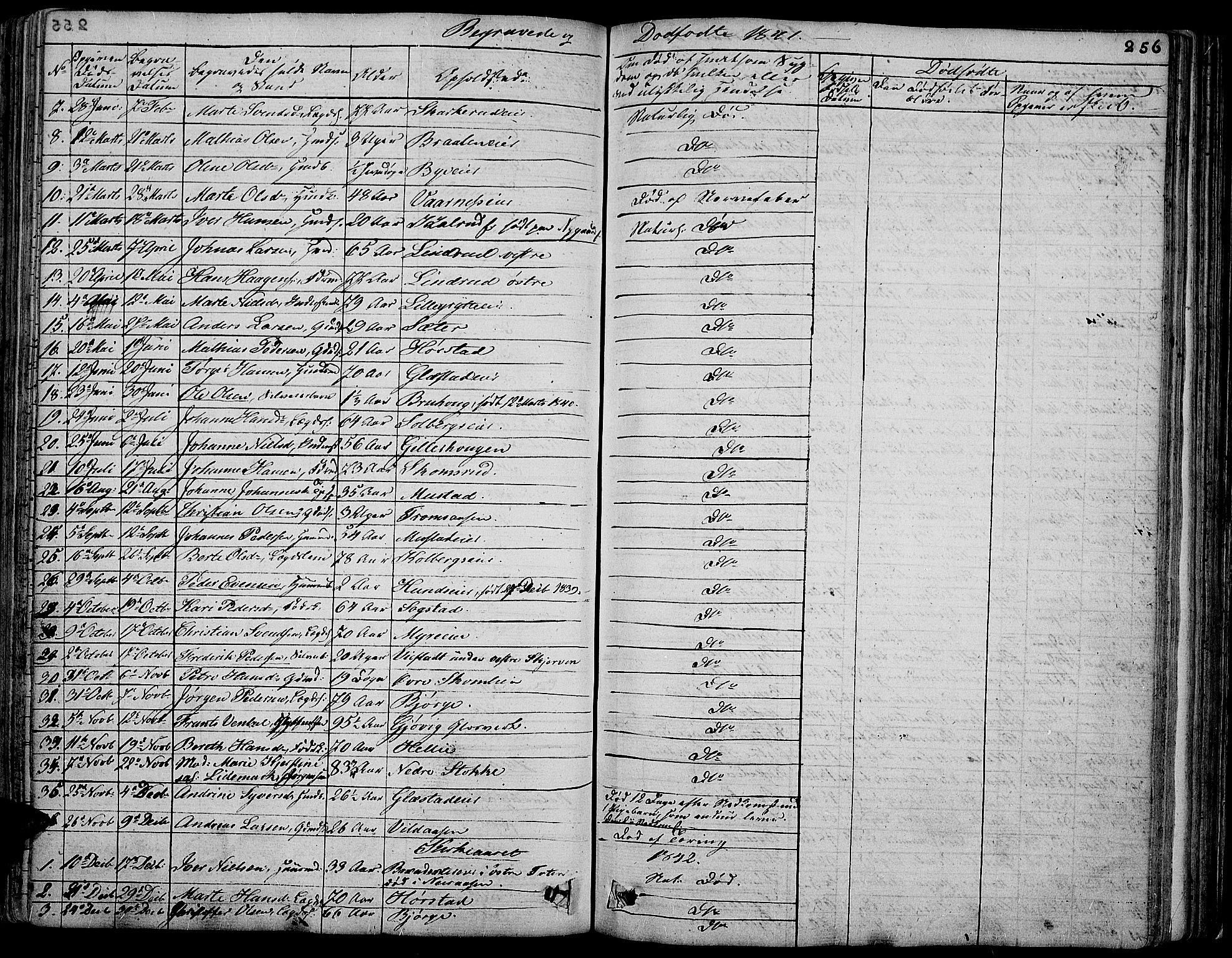 Vardal prestekontor, SAH/PREST-100/H/Ha/Hab/L0004: Parish register (copy) no. 4, 1831-1853, p. 256