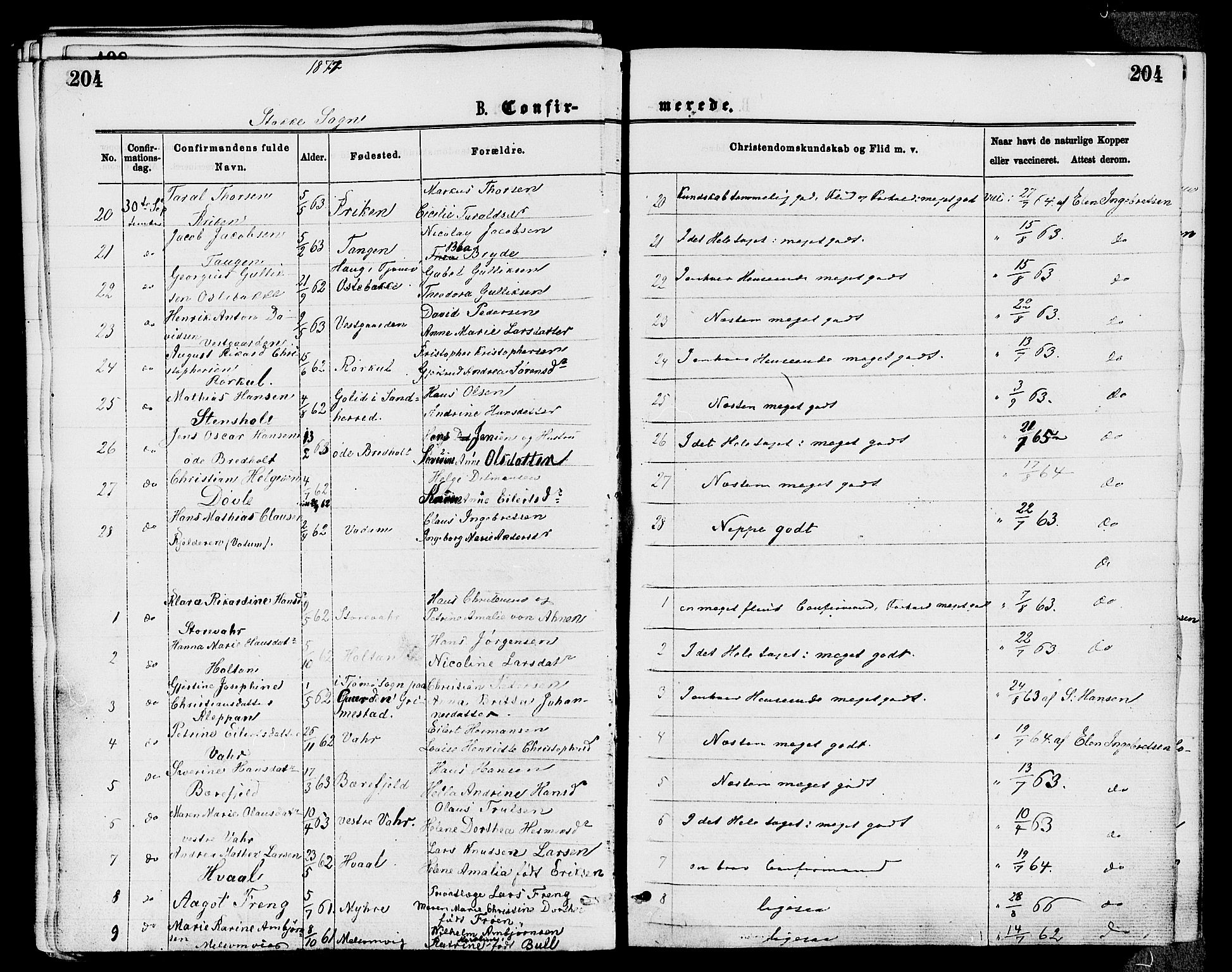 Stokke kirkebøker, AV/SAKO-A-320/F/Fa/L0009: Parish register (official) no. I 9, 1872-1883, p. 204