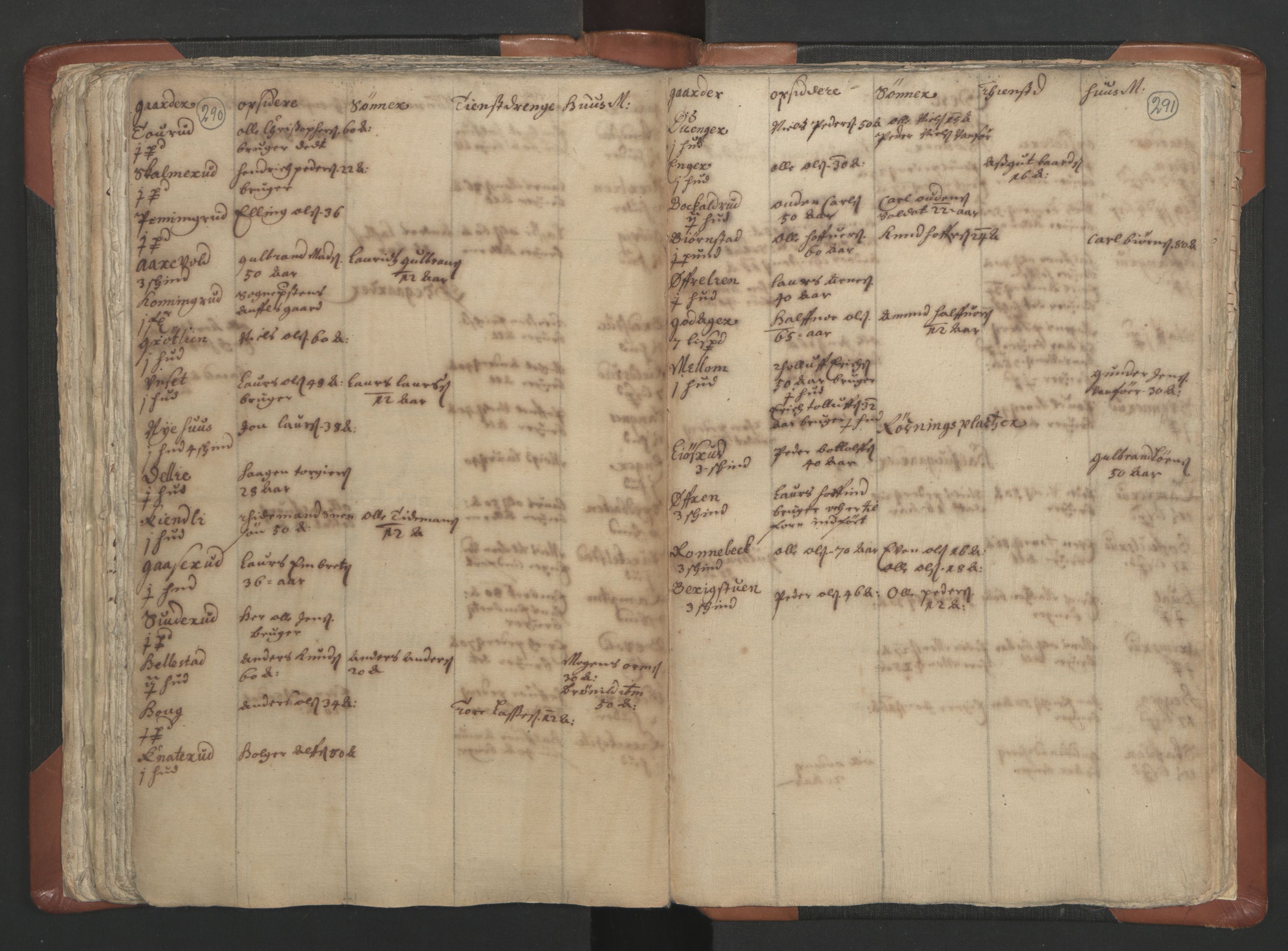 RA, Vicar's Census 1664-1666, no. 5: Hedmark deanery, 1664-1666, p. 290-291