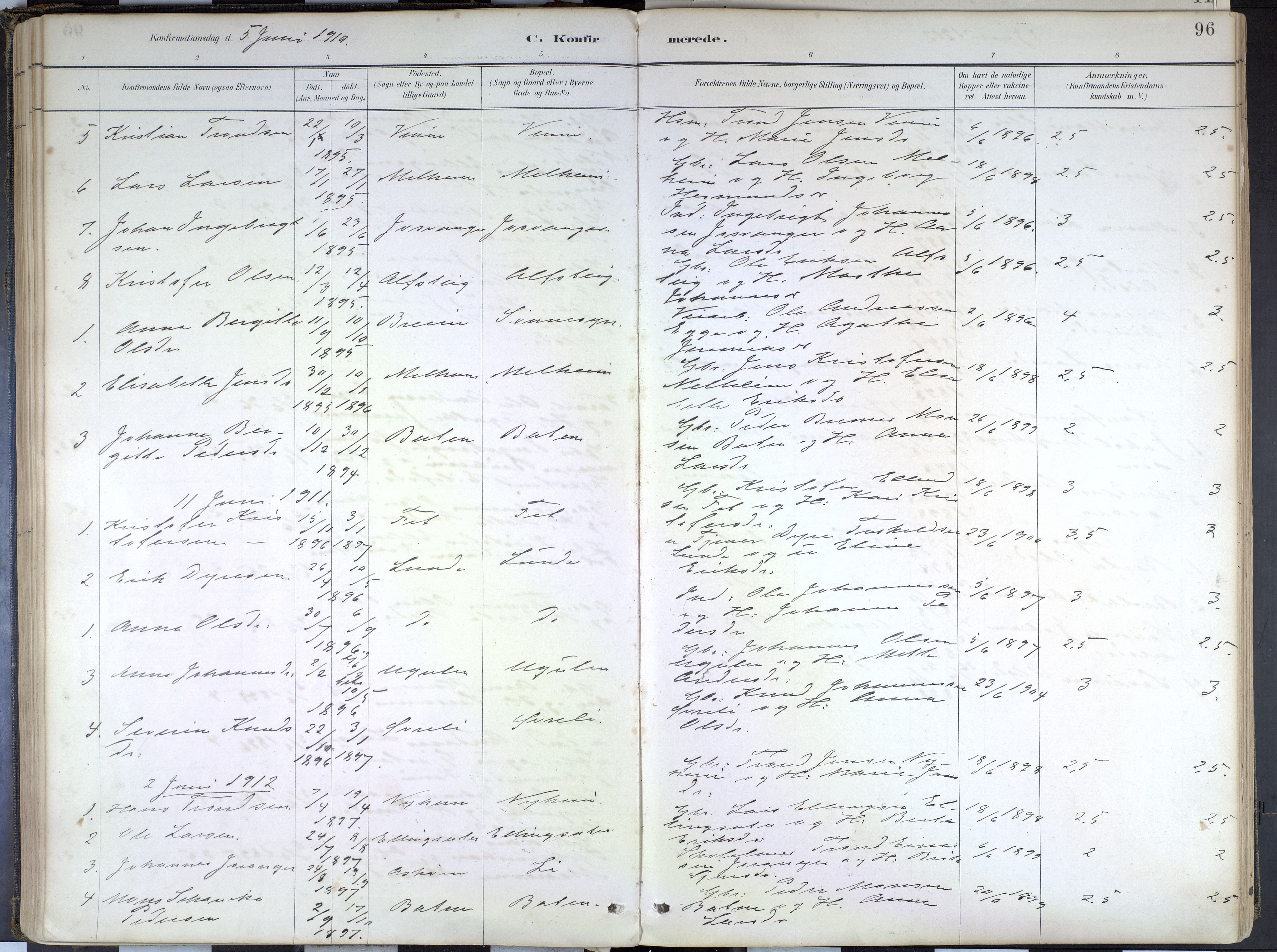 Hafslo sokneprestembete, SAB/A-80301/H/Haa/Haad/L0001: Parish register (official) no. D 1, 1886-1934, p. 96