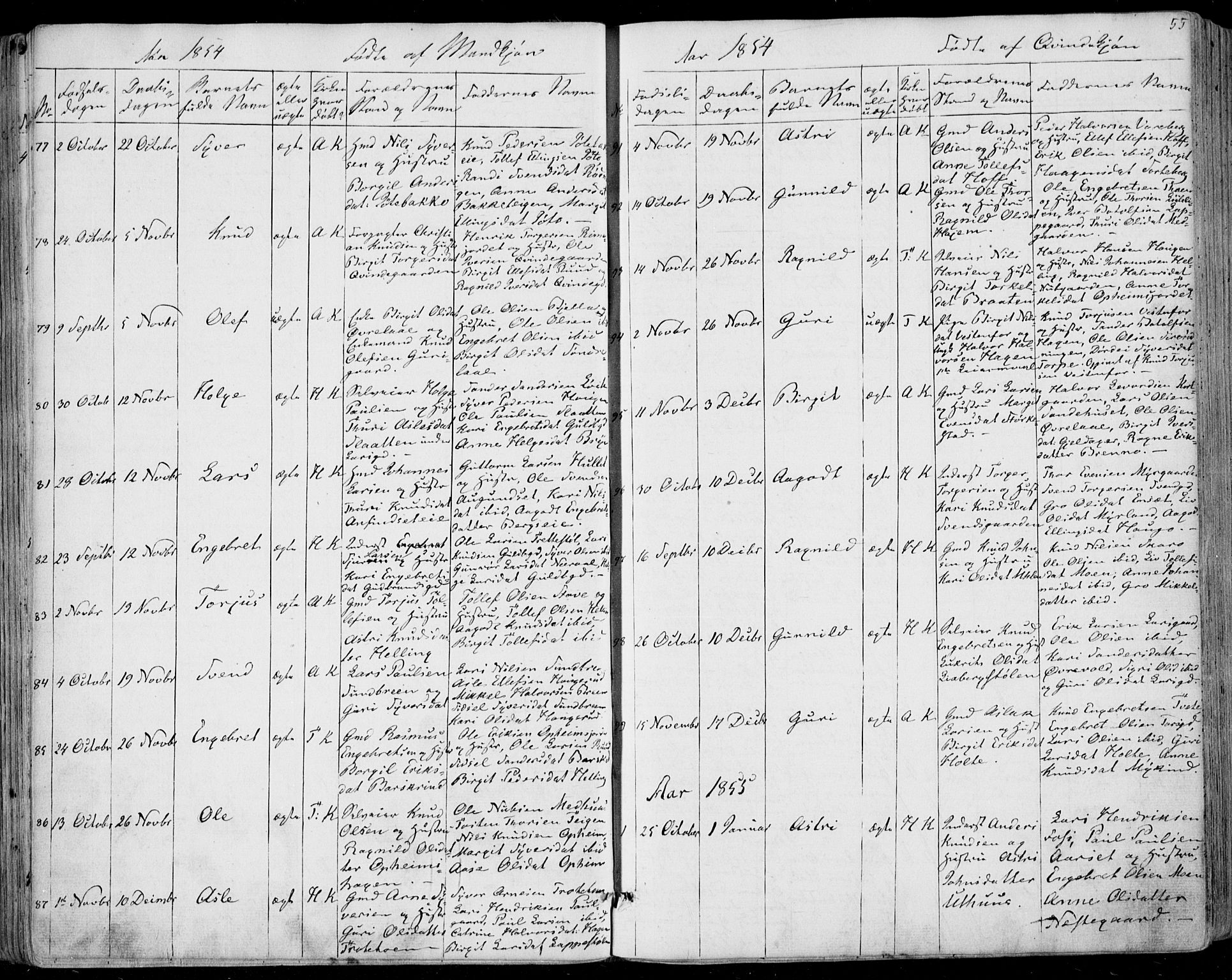 Ål kirkebøker, AV/SAKO-A-249/F/Fa/L0006: Parish register (official) no. I 6, 1849-1864, p. 55