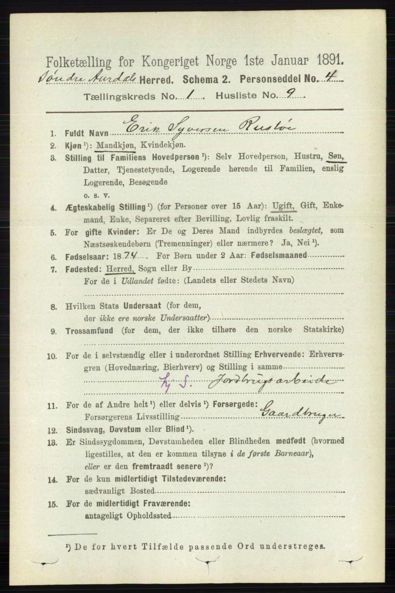 RA, 1891 census for 0540 Sør-Aurdal, 1891, p. 196