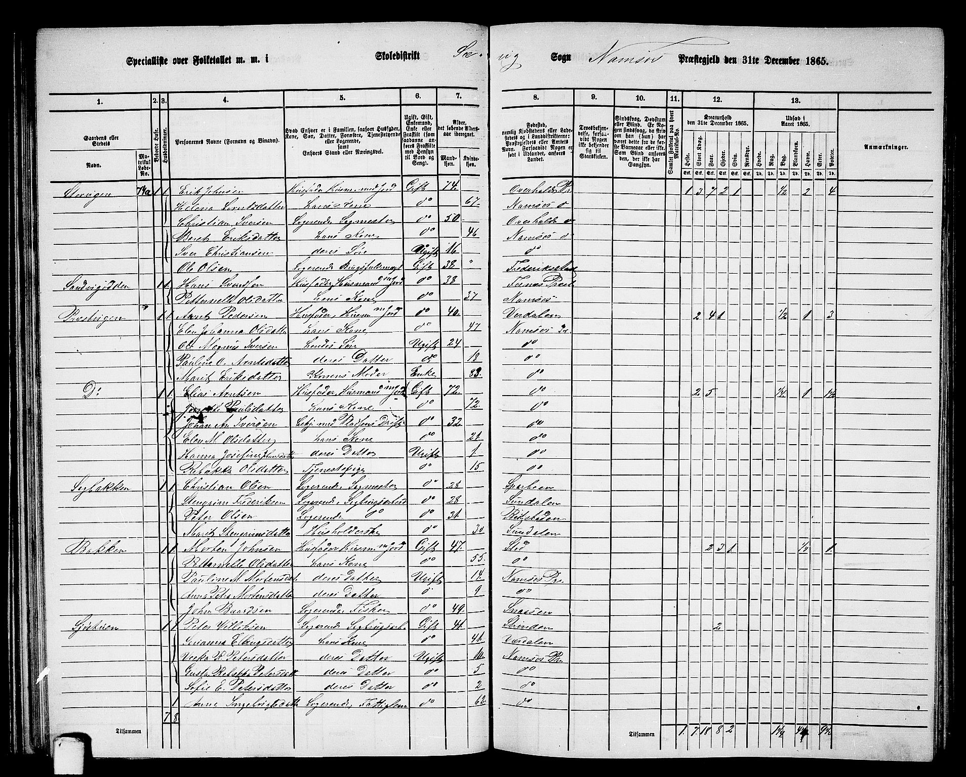 RA, 1865 census for Namsos/Vemundvik og Sævik, 1865, p. 54