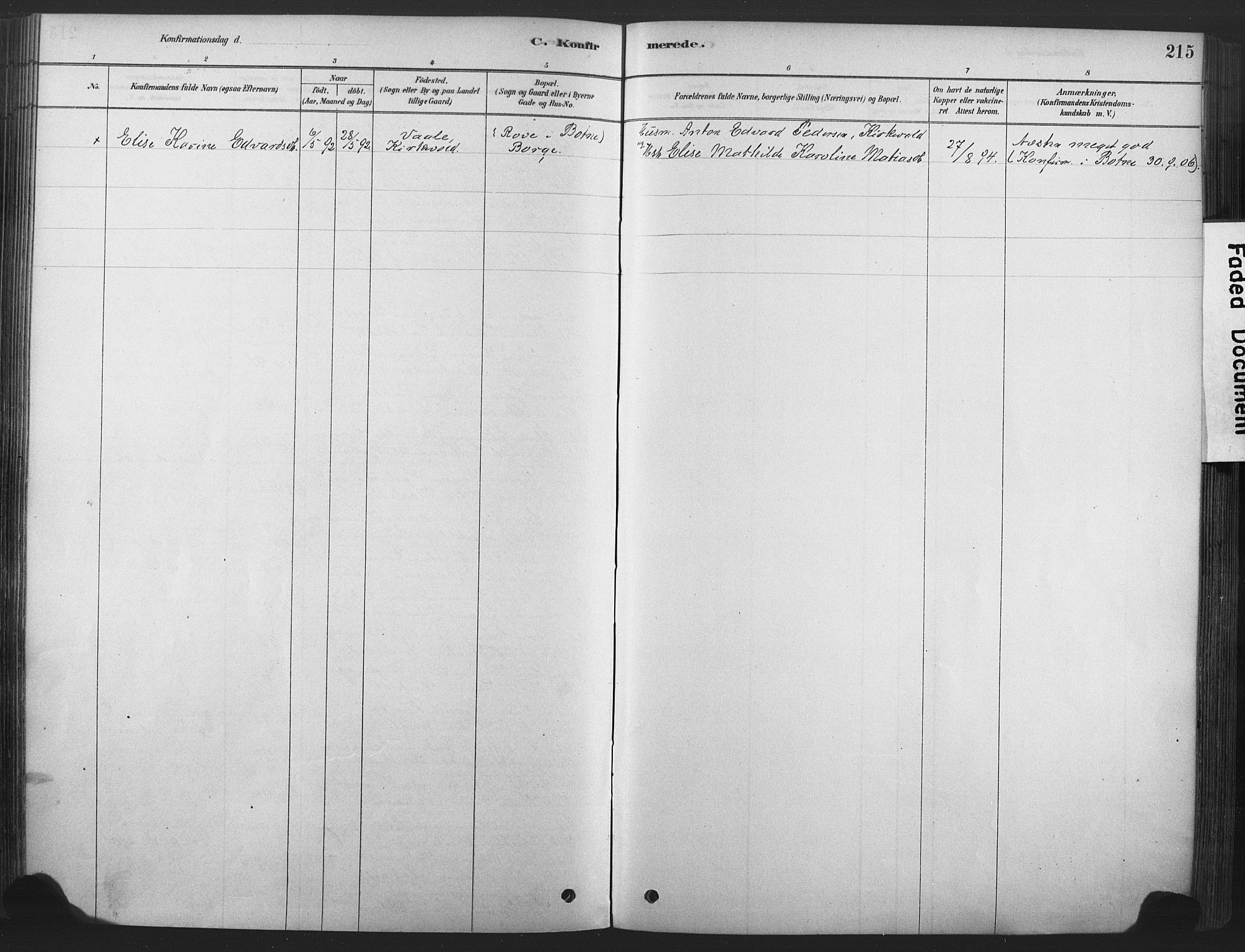 Våle kirkebøker, SAKO/A-334/F/Fa/L0011: Parish register (official) no. I 11, 1878-1906, p. 215