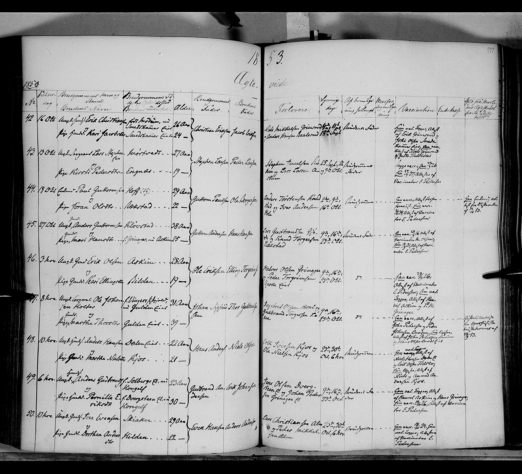 Gran prestekontor, SAH/PREST-112/H/Ha/Haa/L0011: Parish register (official) no. 11, 1842-1856, p. 976-977