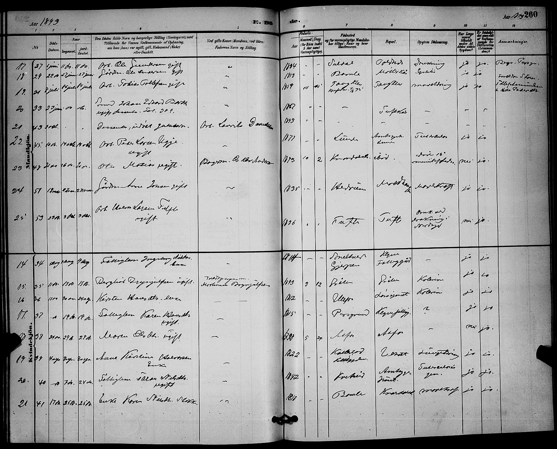 Solum kirkebøker, AV/SAKO-A-306/G/Ga/L0007: Parish register (copy) no. I 7, 1884-1898, p. 260