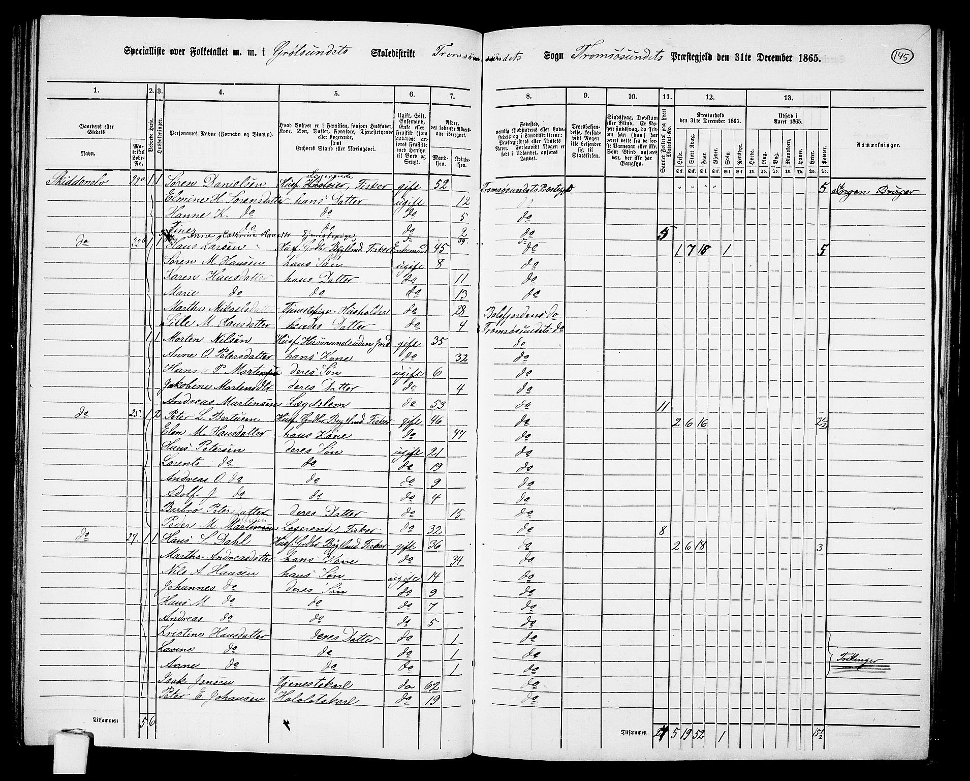 RA, 1865 census for Tromsøysund, 1865, p. 120