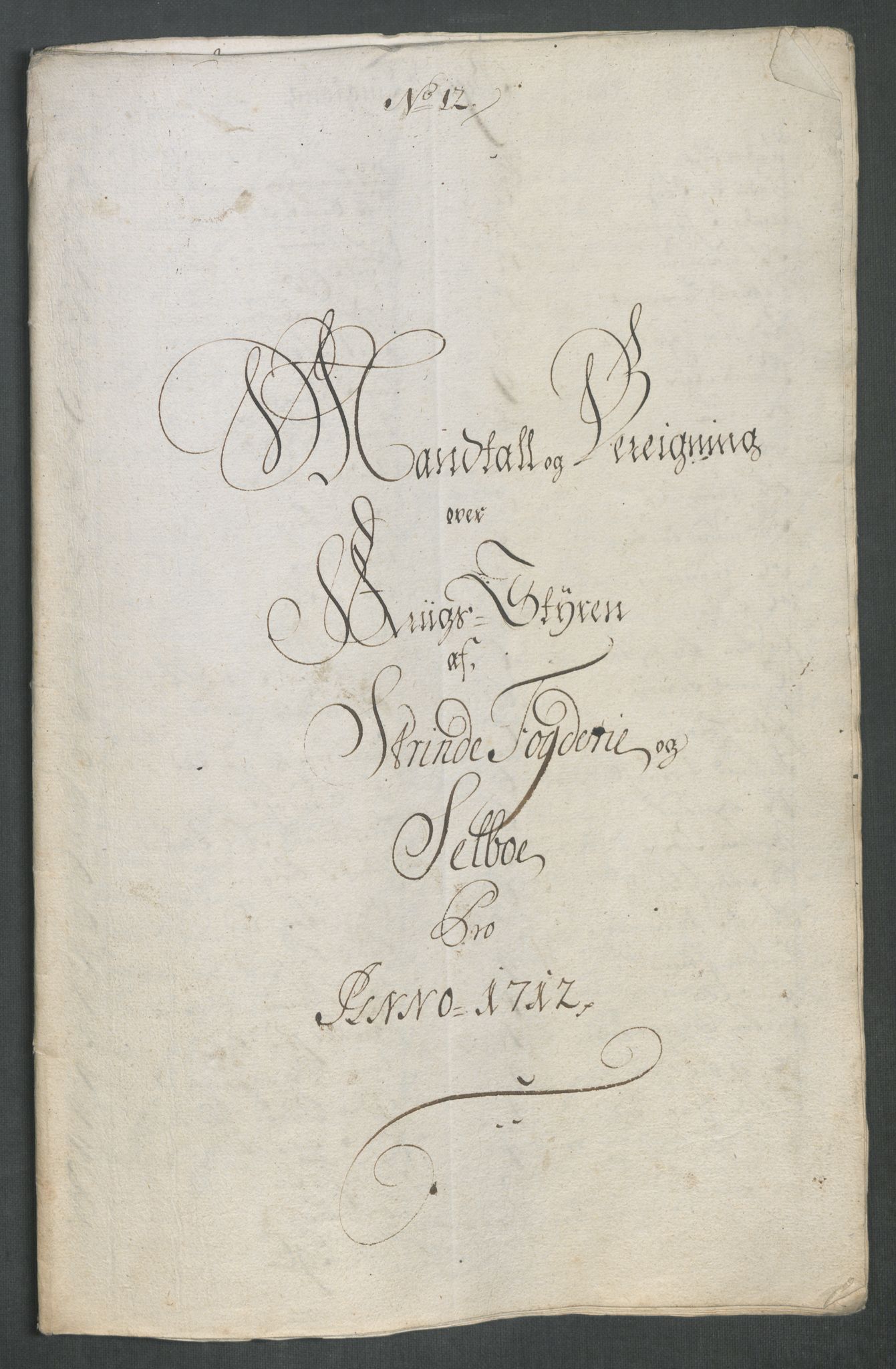 Rentekammeret inntil 1814, Reviderte regnskaper, Fogderegnskap, RA/EA-4092/R61/L4113: Fogderegnskap Strinda og Selbu, 1712-1713, p. 139
