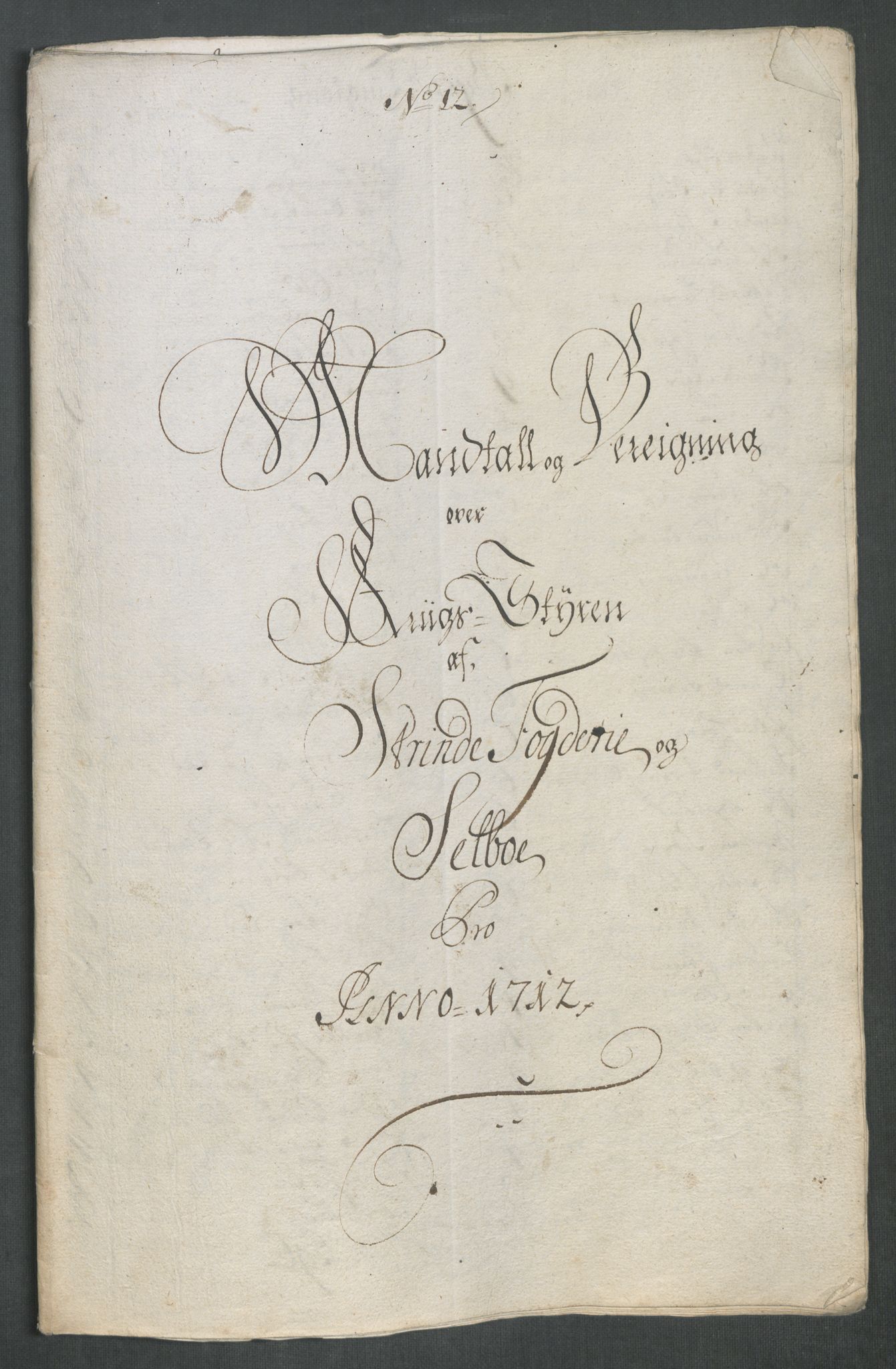 Rentekammeret inntil 1814, Reviderte regnskaper, Fogderegnskap, AV/RA-EA-4092/R61/L4113: Fogderegnskap Strinda og Selbu, 1712-1713, p. 139