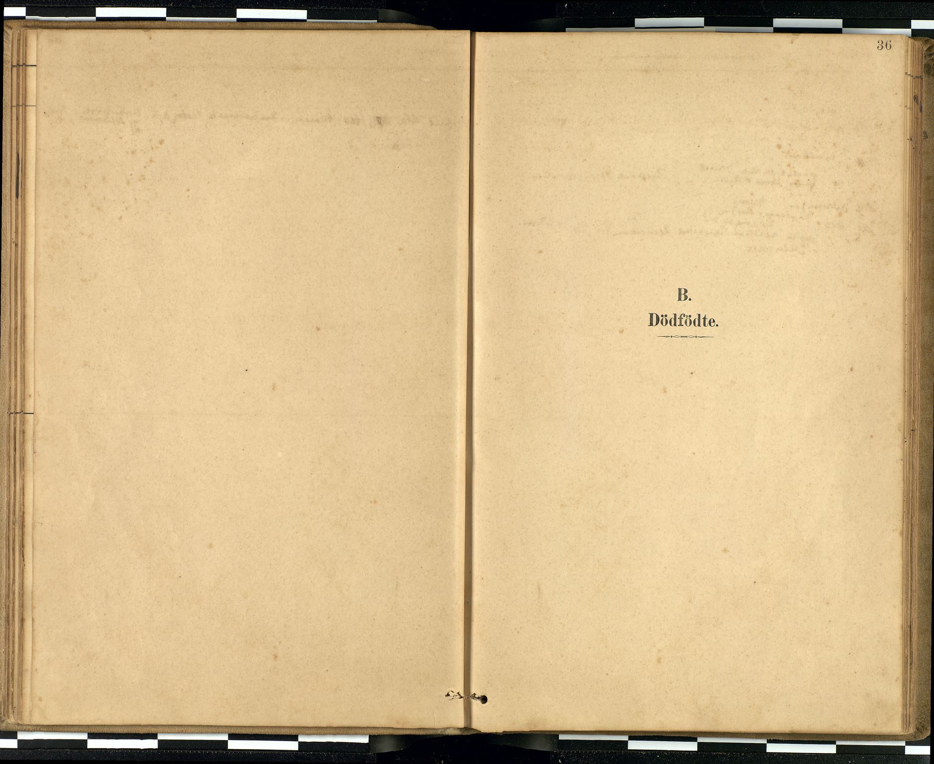 Den norske sjømannsmisjon i utlandet / Quebec (Canada) samt Pensacola--Savannah-Mobile-New Orleans-Gulfport (Gulfhamnene i USA), SAB/SAB/PA-0114/H/Ha/L0001: Parish register (official) no. A 1, 1887-1924, p. 35b-36a