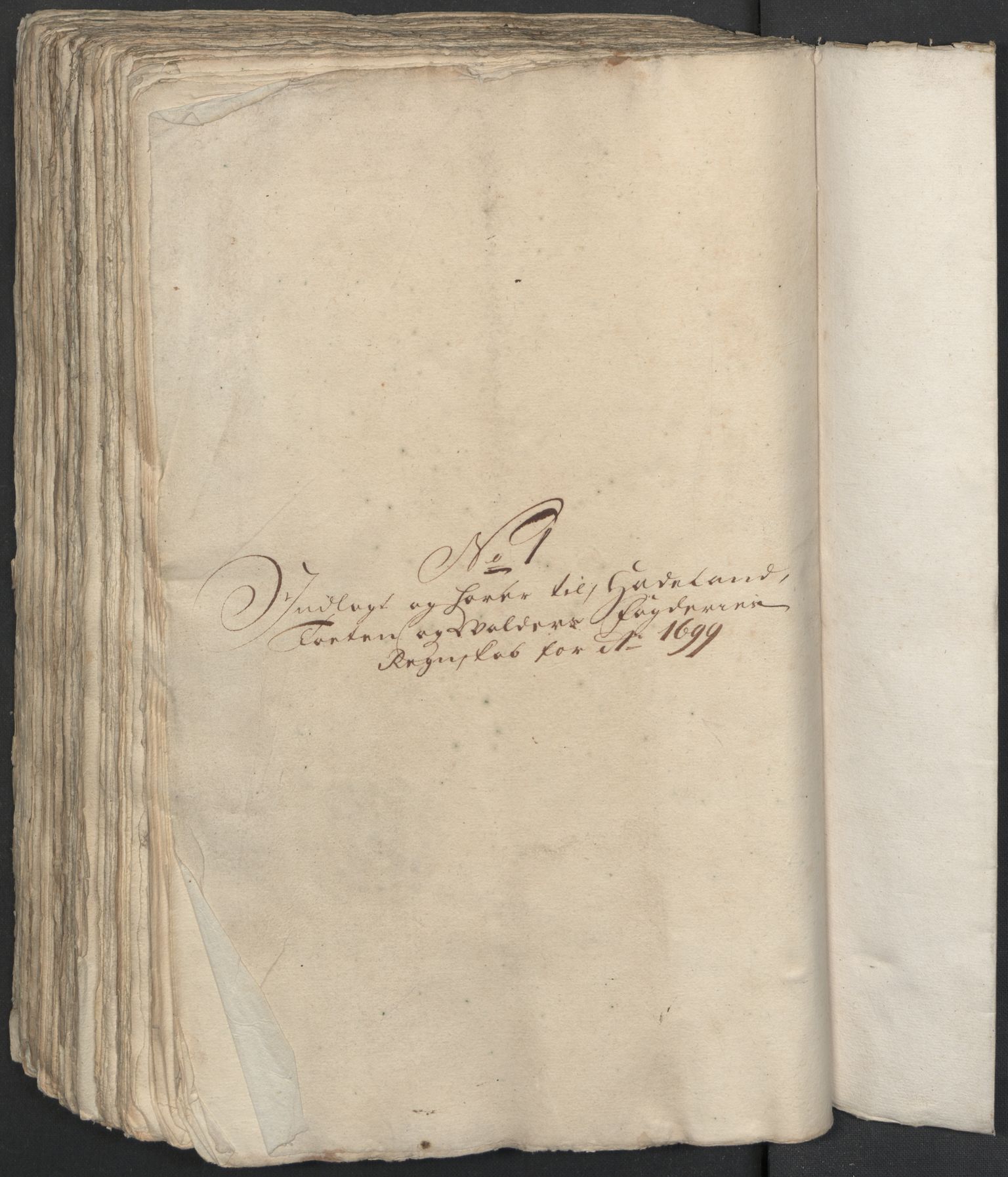 Rentekammeret inntil 1814, Reviderte regnskaper, Fogderegnskap, RA/EA-4092/R18/L1297: Fogderegnskap Hadeland, Toten og Valdres, 1699, p. 262
