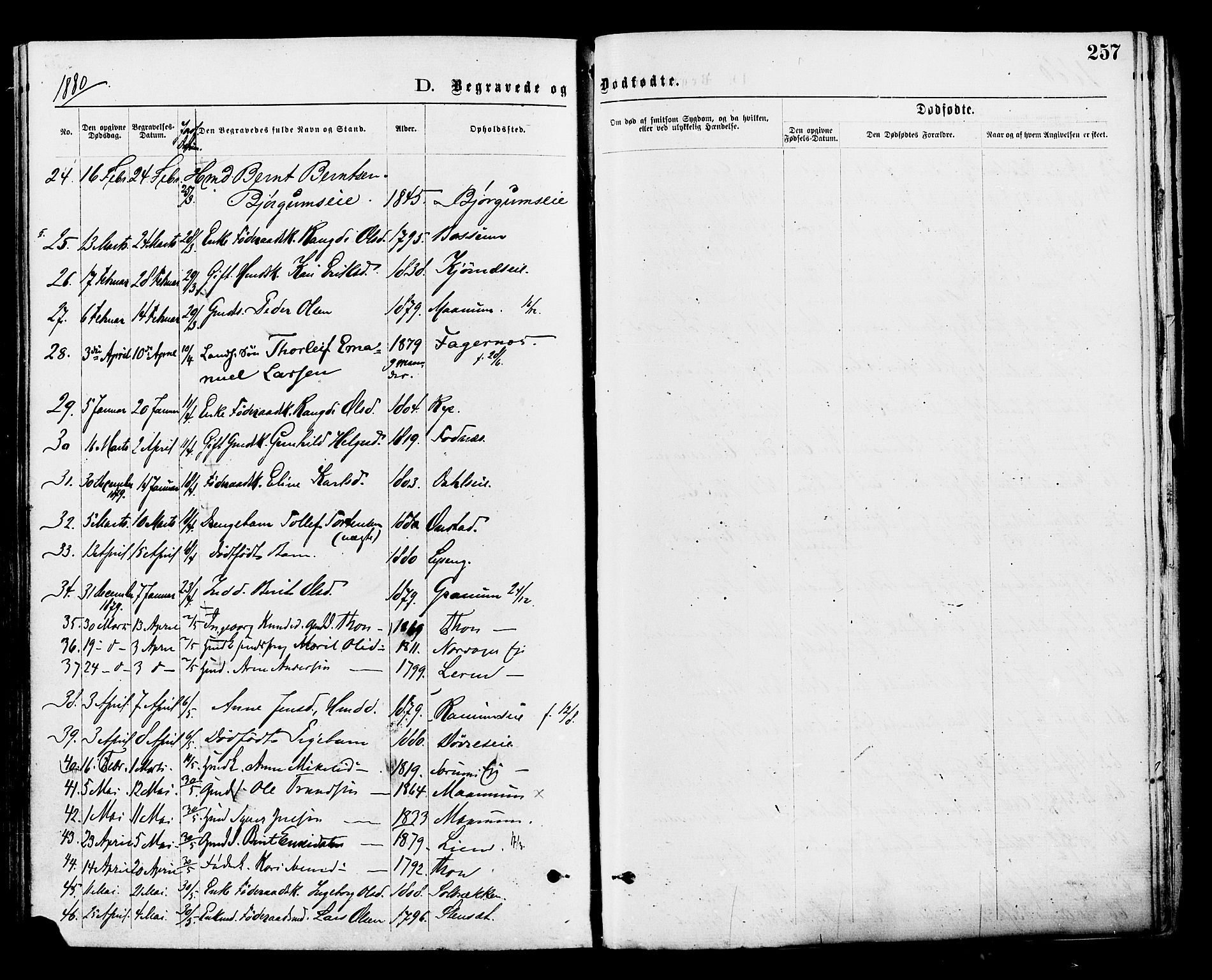 Nord-Aurdal prestekontor, SAH/PREST-132/H/Ha/Haa/L0009: Parish register (official) no. 9, 1876-1882, p. 257