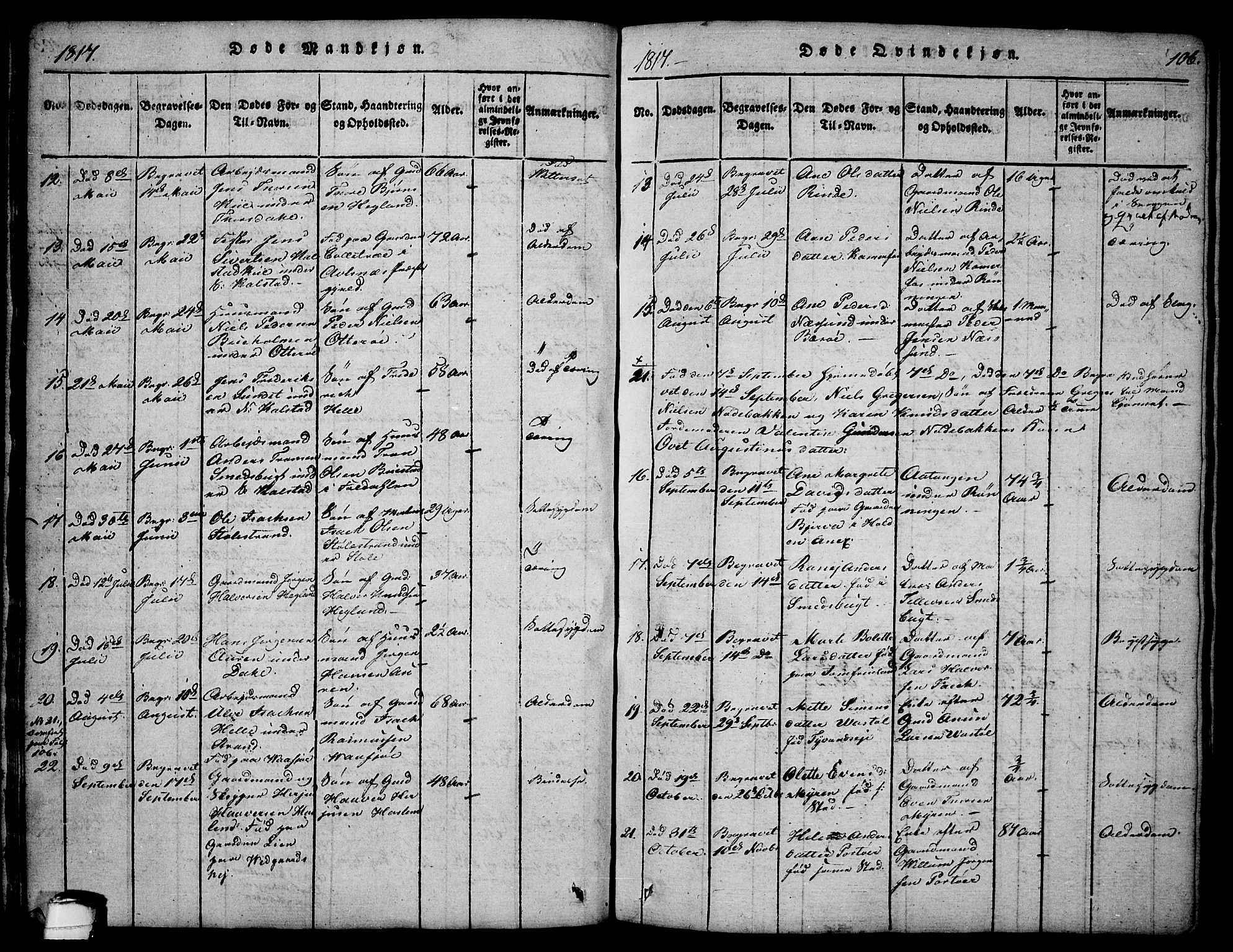 Sannidal kirkebøker, AV/SAKO-A-296/F/Fa/L0004: Parish register (official) no. 4, 1814-1829, p. 106