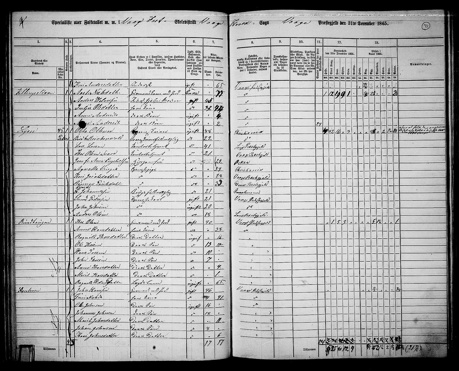 RA, 1865 census for Vågå, 1865, p. 67