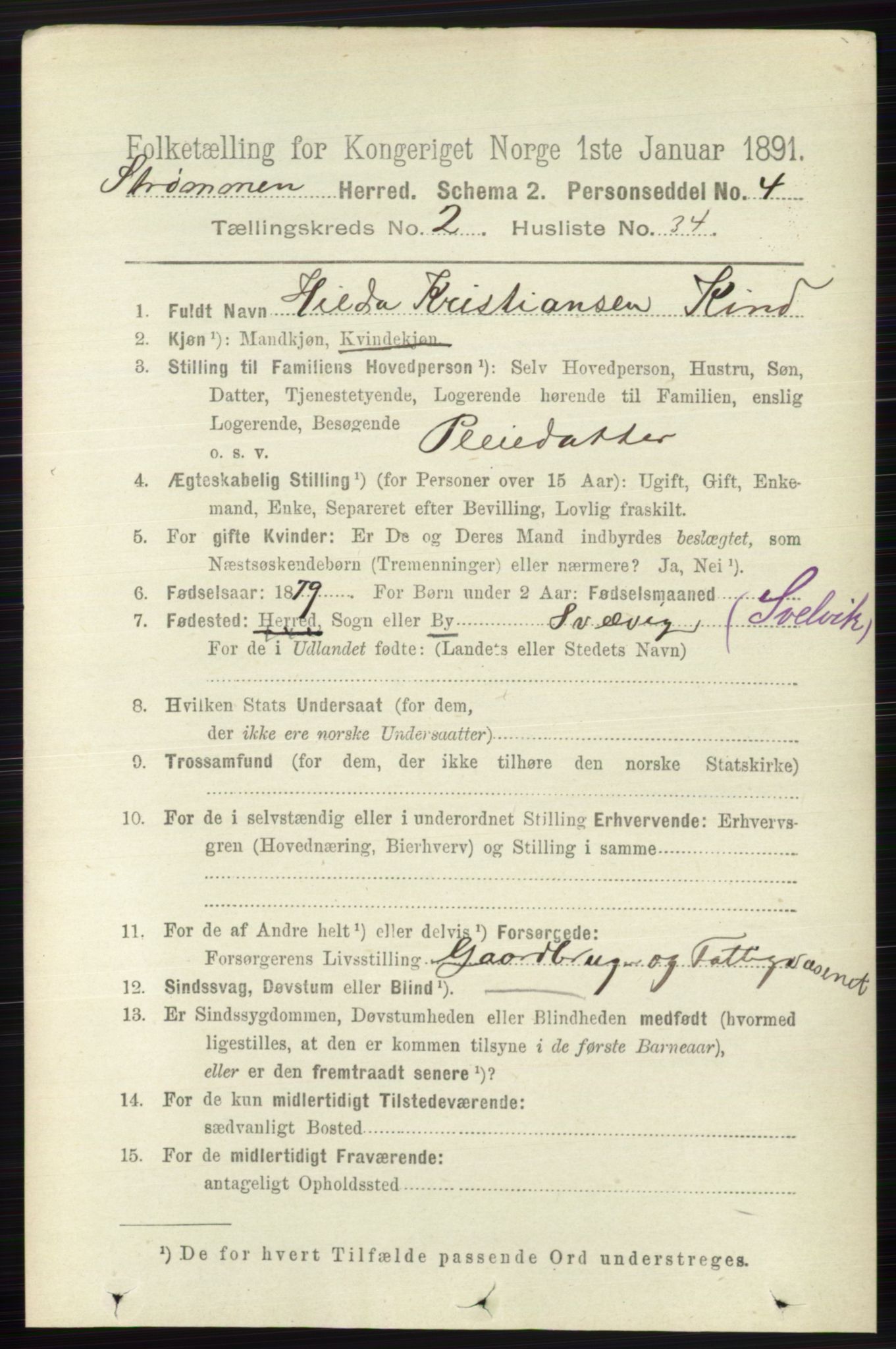 RA, 1891 census for 0711 Strømm, 1891, p. 893