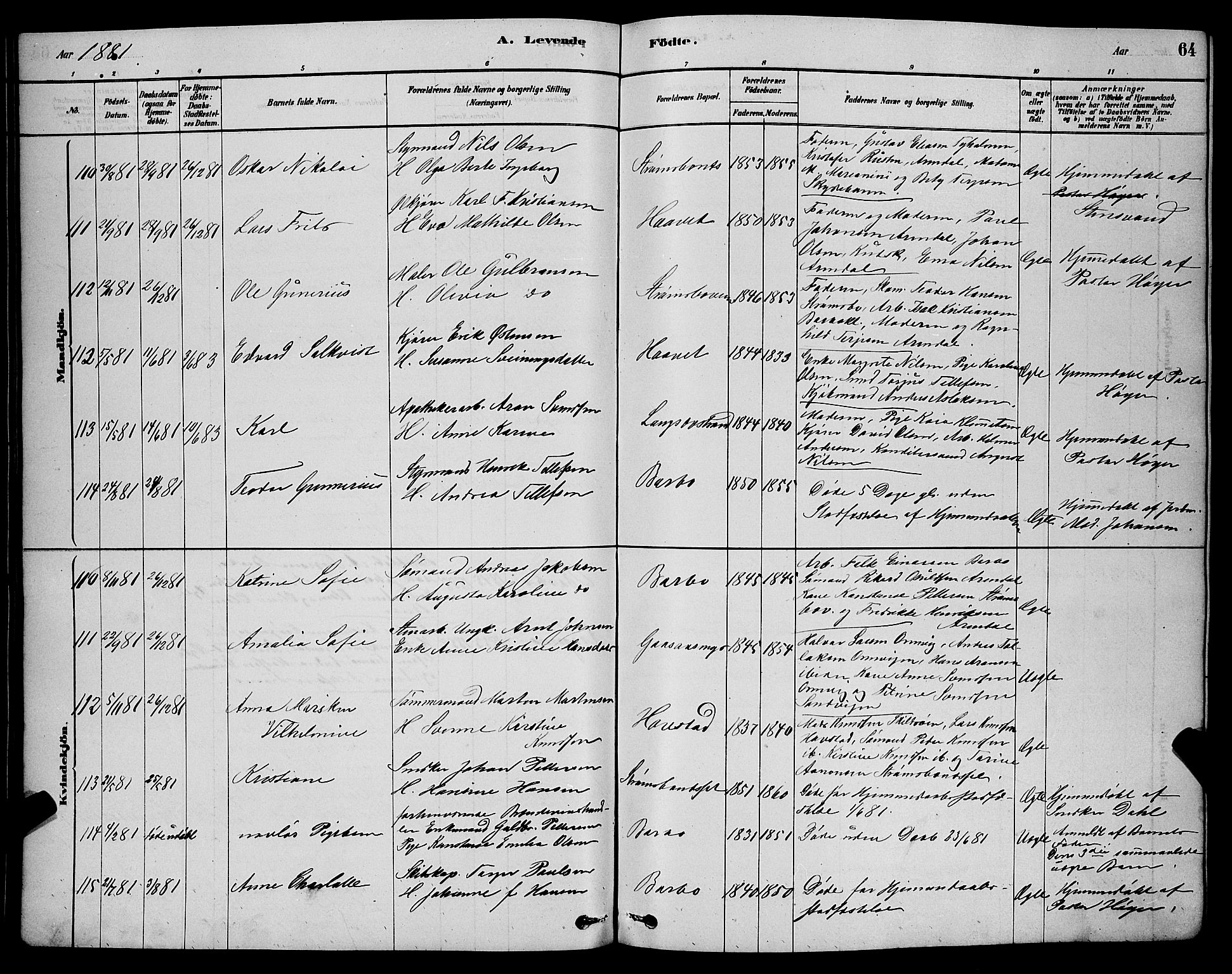 Barbu sokneprestkontor, AV/SAK-1111-0003/F/Fb/L0001: Parish register (copy) no. B 1, 1878-1890, p. 64