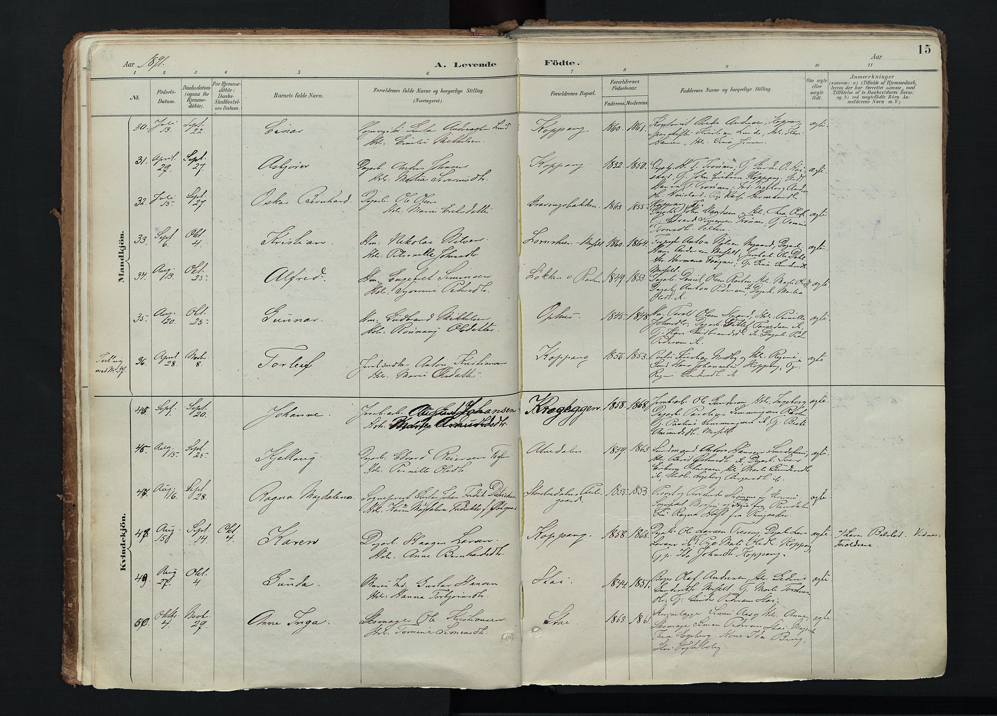 Stor-Elvdal prestekontor, SAH/PREST-052/H/Ha/Haa/L0004: Parish register (official) no. 4, 1890-1922, p. 15