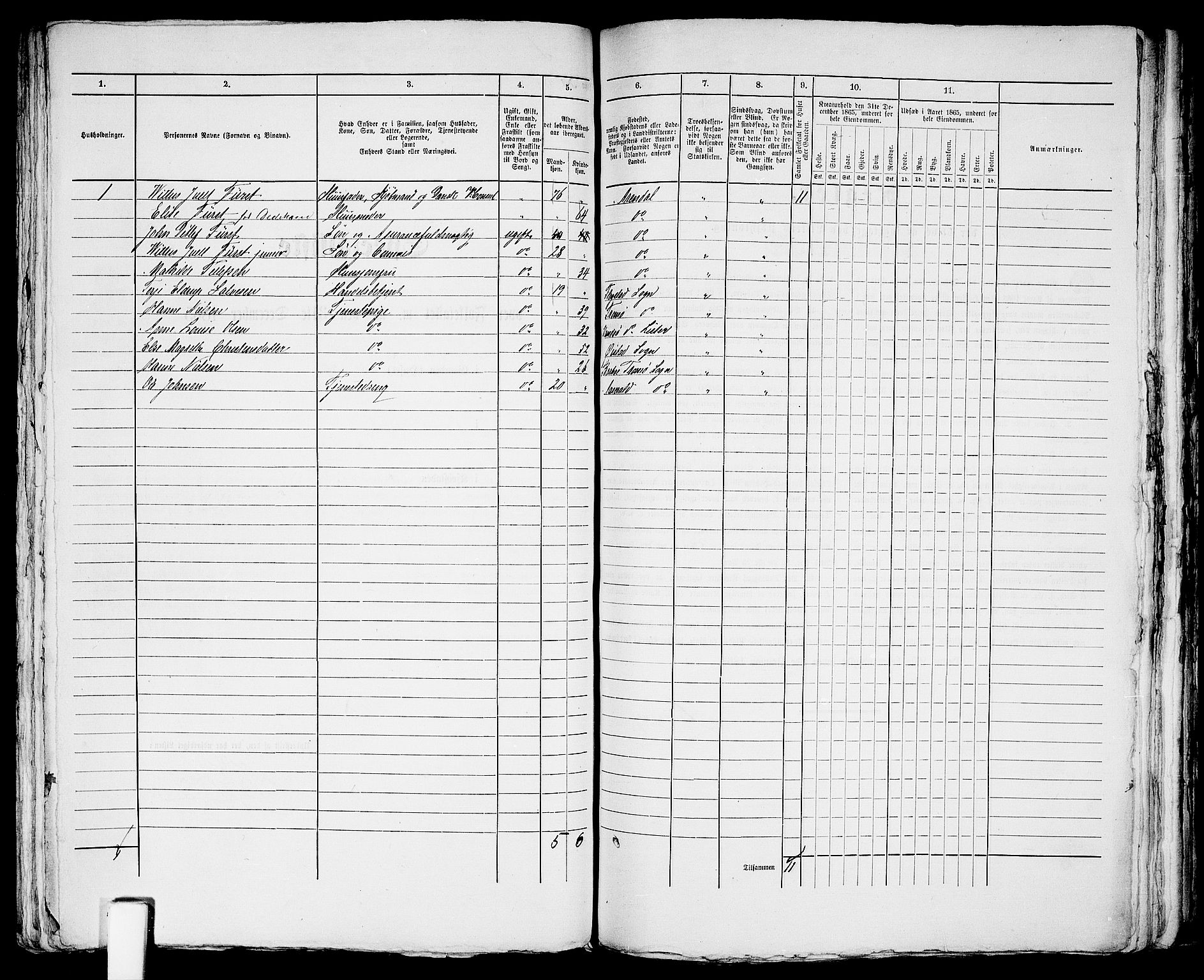 RA, 1865 census for Arendal, 1865, p. 567