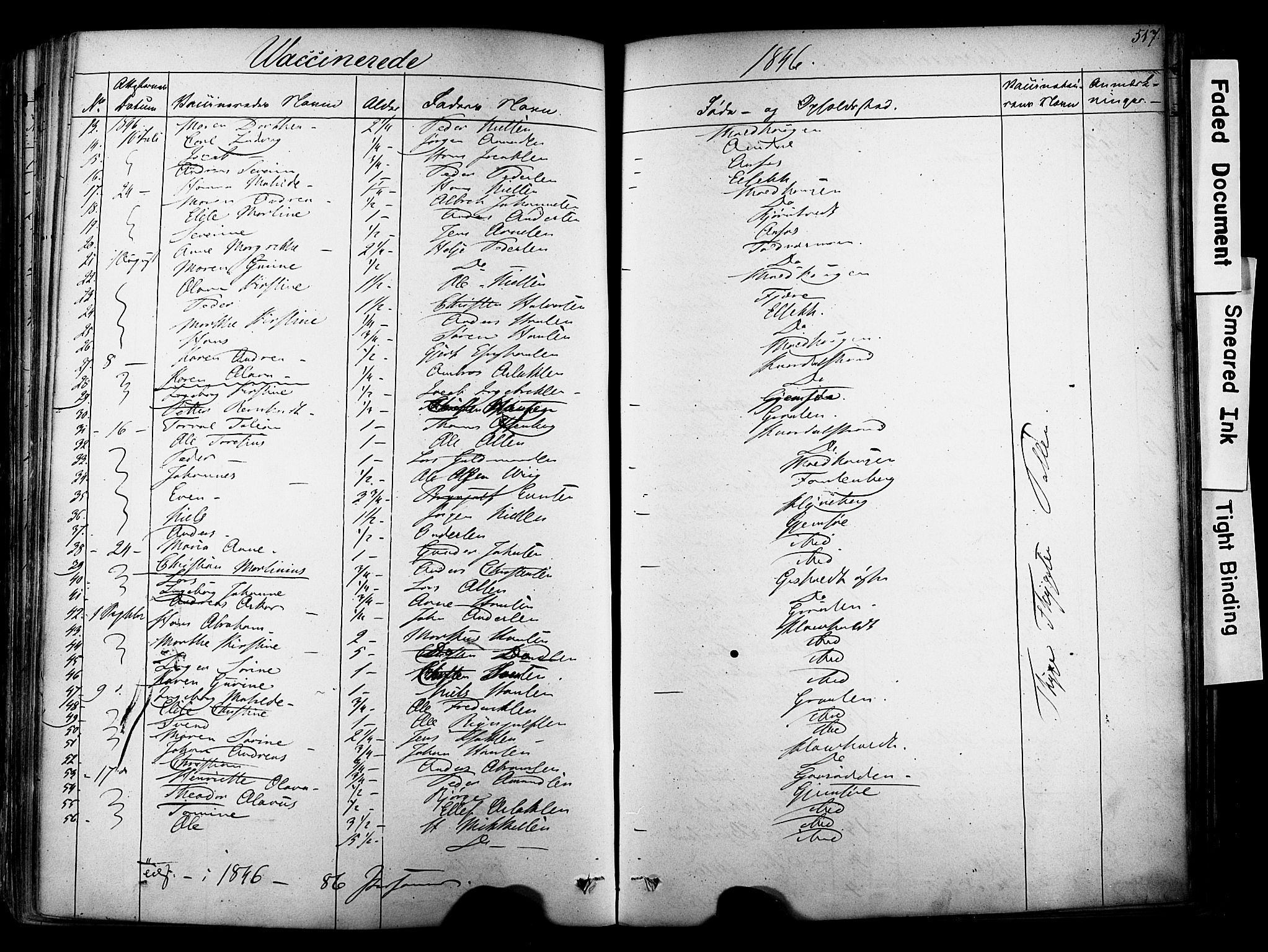 Solum kirkebøker, SAKO/A-306/F/Fa/L0006: Parish register (official) no. I 6, 1844-1855, p. 517