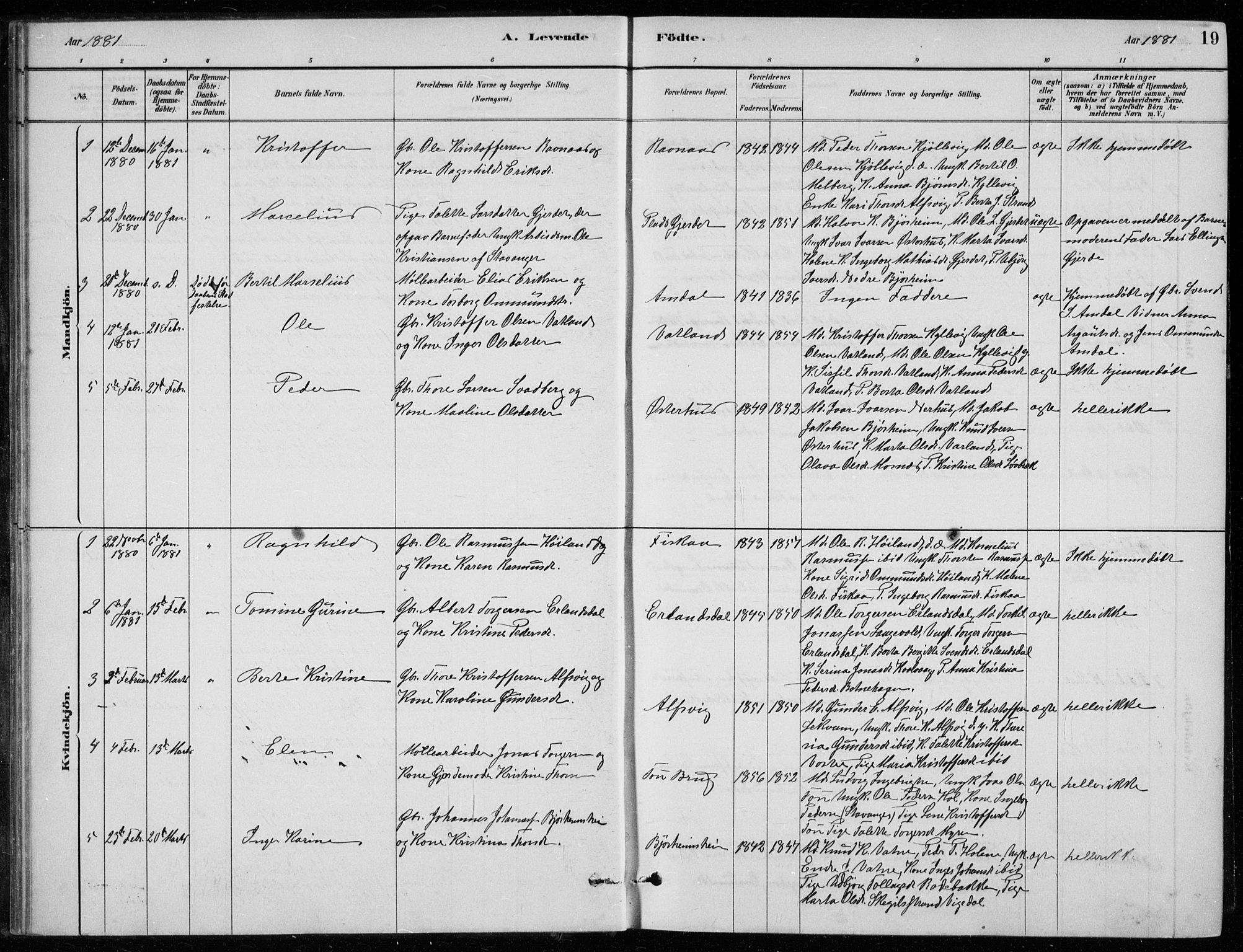 Strand sokneprestkontor, SAST/A-101828/H/Ha/Hab/L0004: Parish register (copy) no. B 4, 1878-1903, p. 19