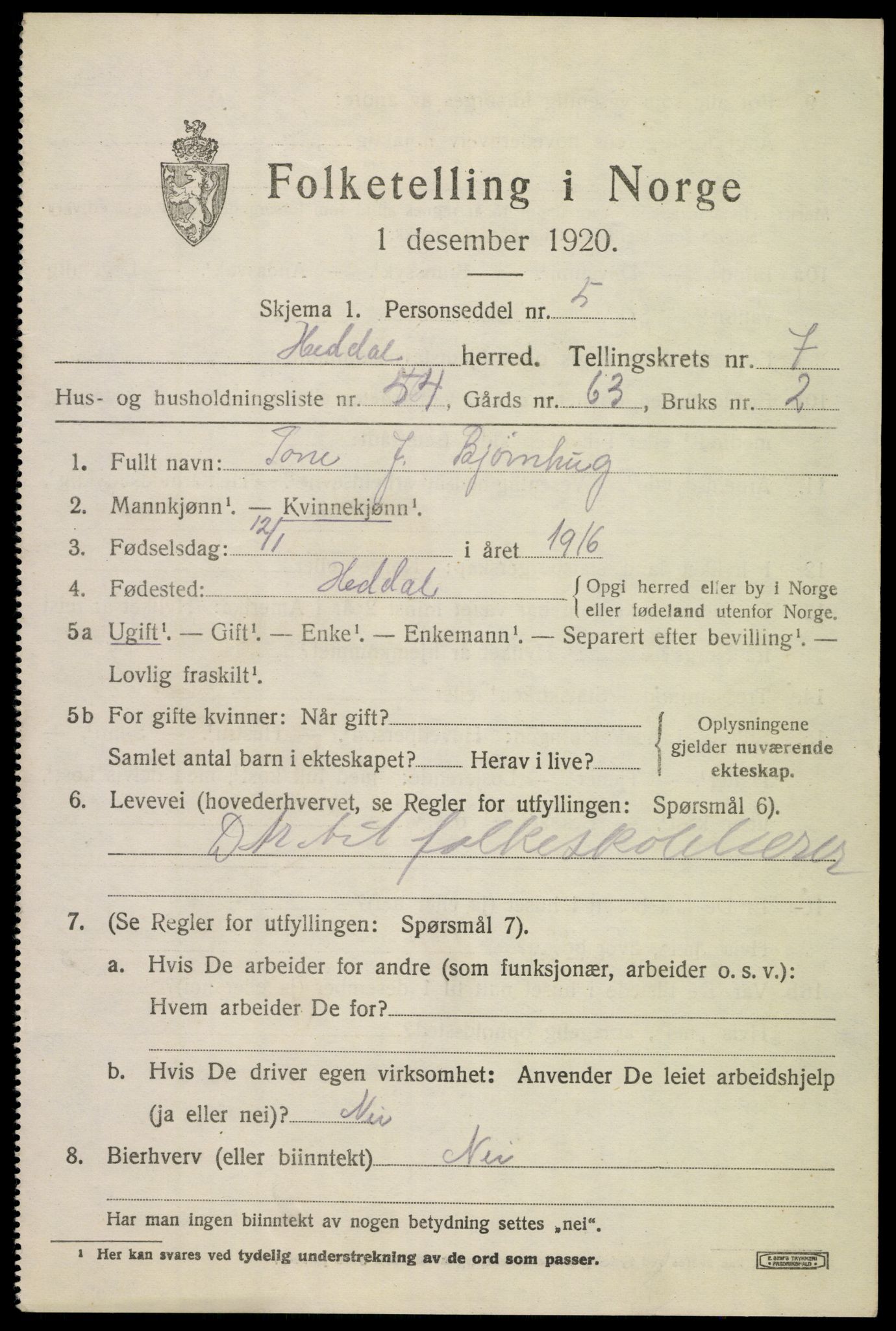 SAKO, 1920 census for Heddal, 1920, p. 6004