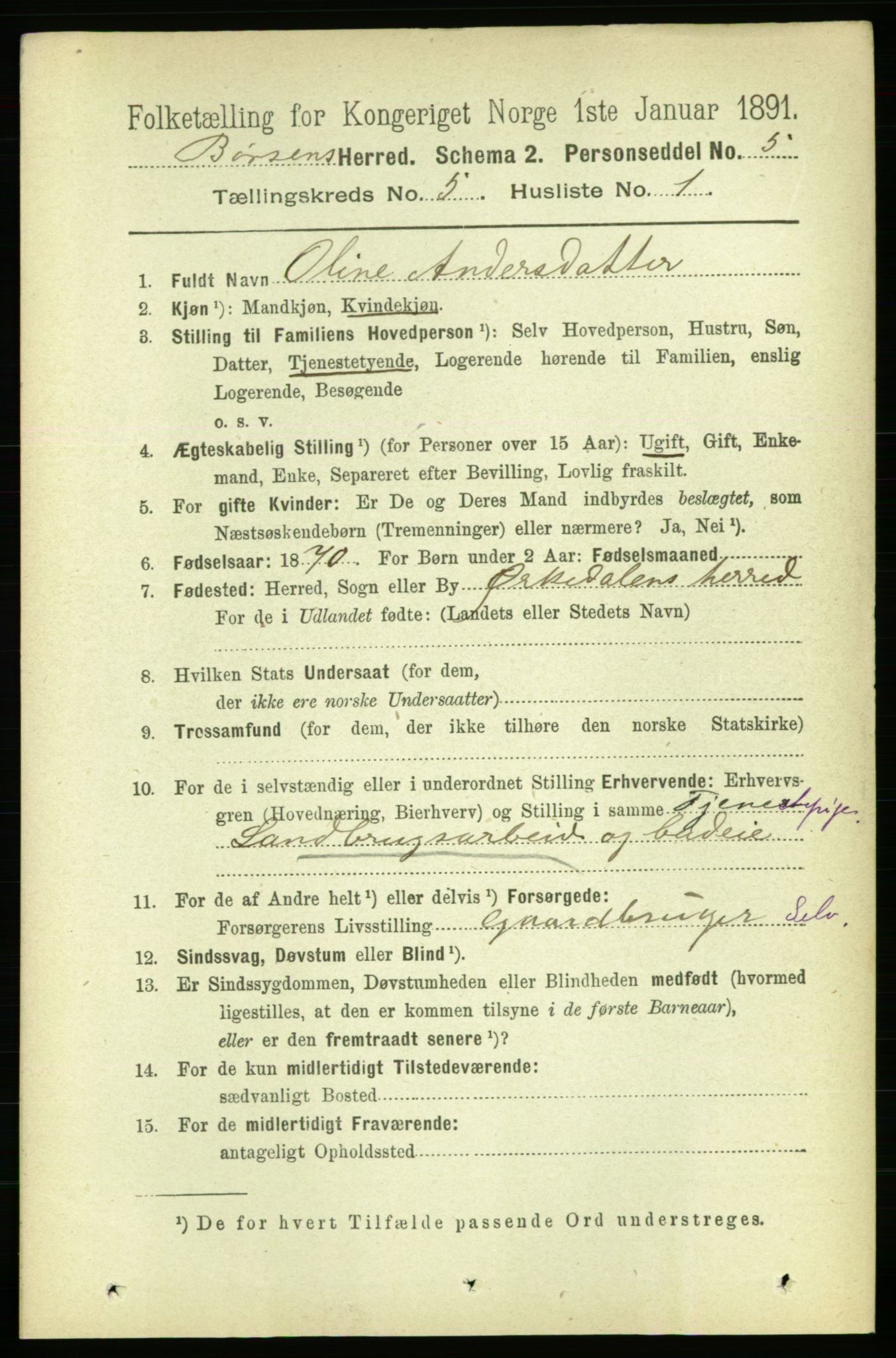 RA, 1891 census for 1658 Børsa, 1891, p. 1979