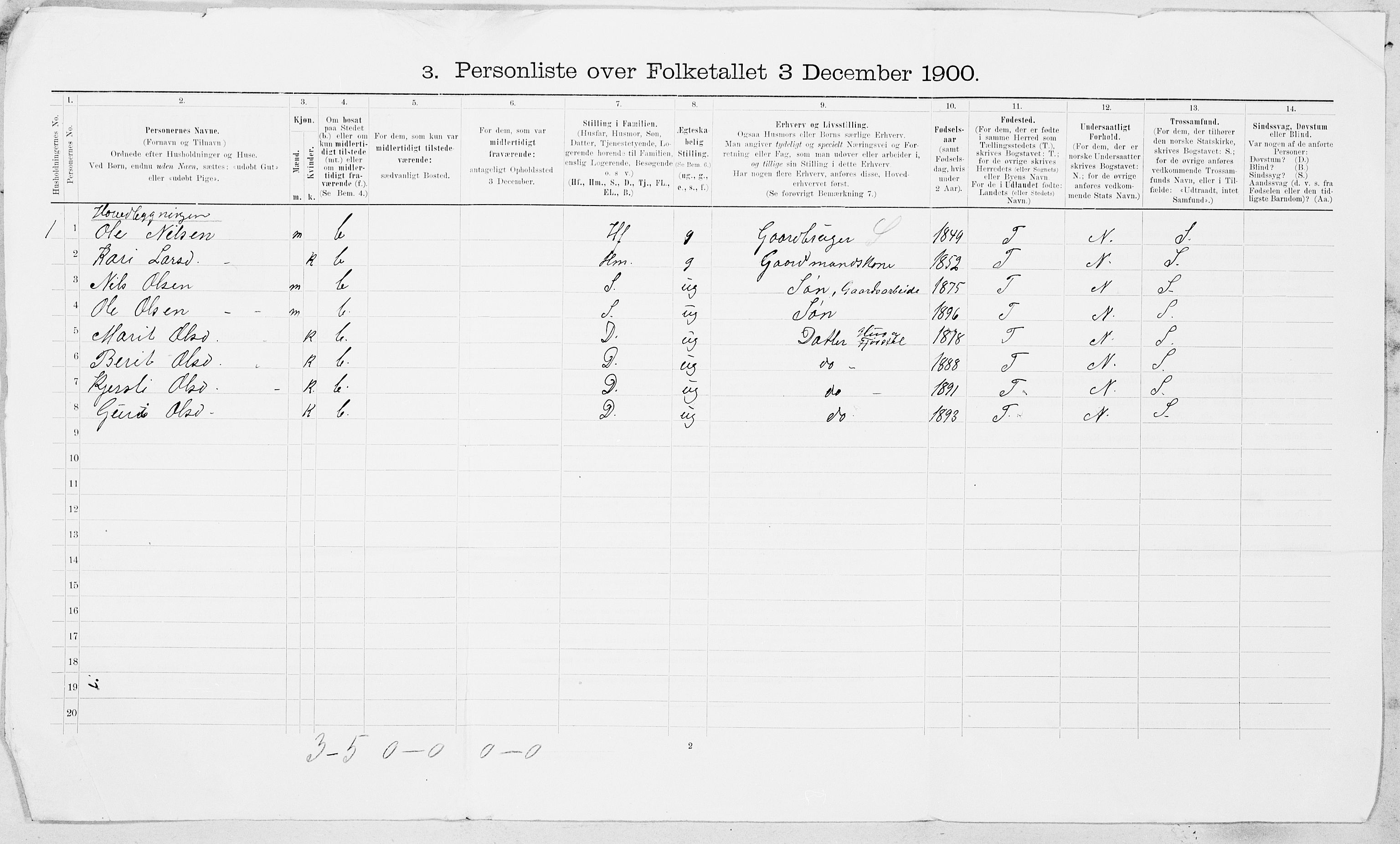 SAT, 1900 census for Støren, 1900, p. 17