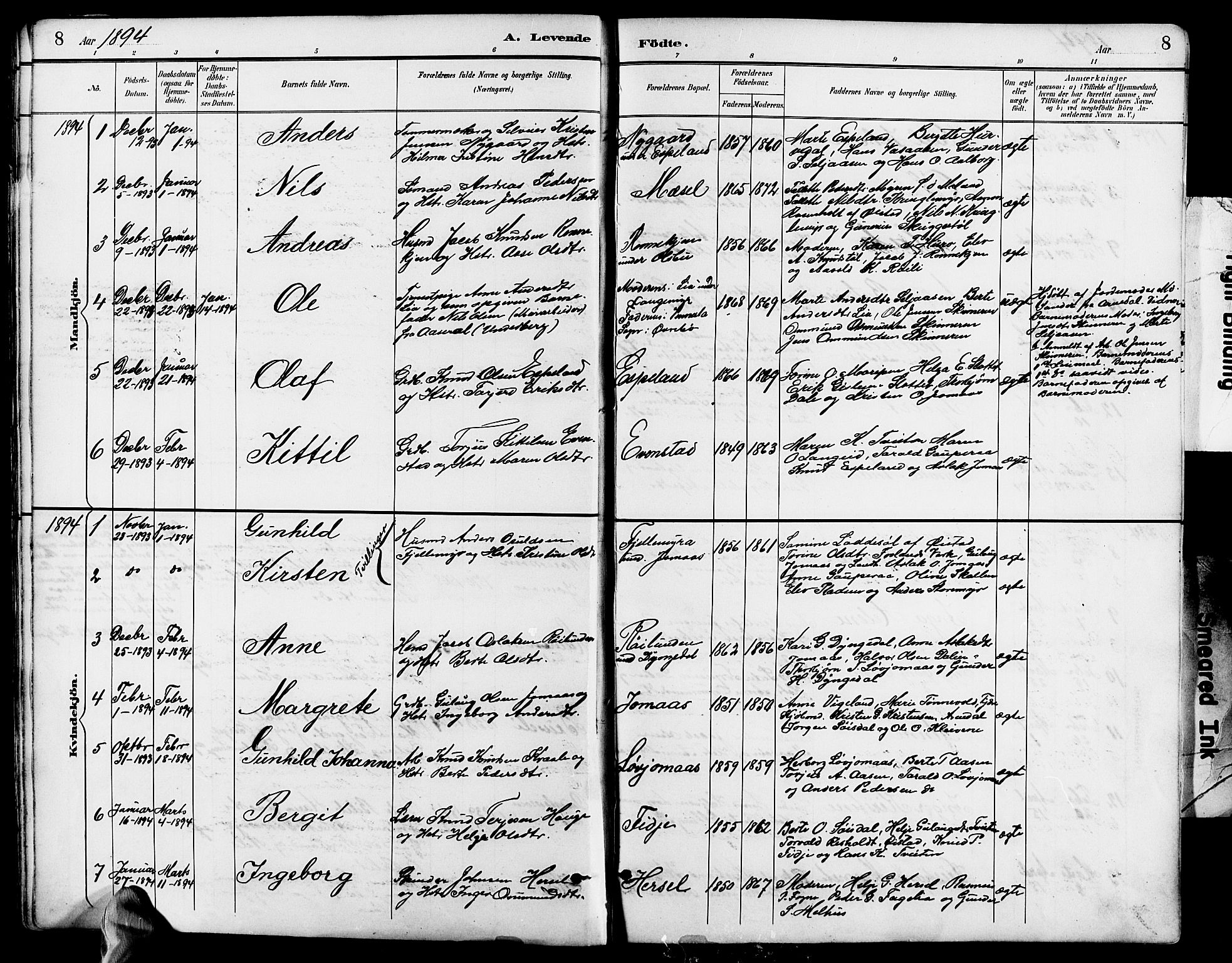 Froland sokneprestkontor, SAK/1111-0013/F/Fb/L0010: Parish register (copy) no. B 10, 1893-1920, p. 8