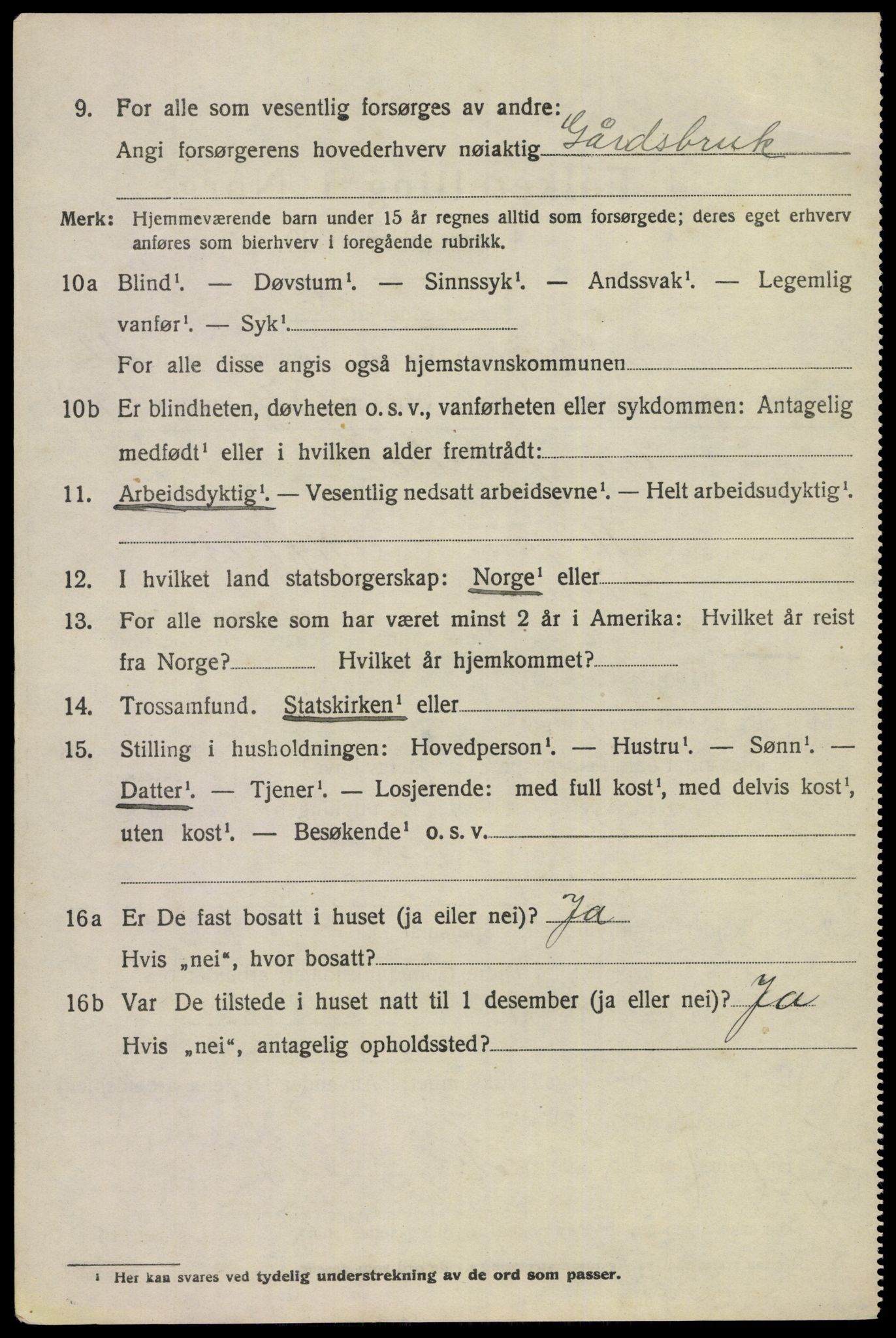 SAKO, 1920 census for Gjerpen, 1920, p. 13915