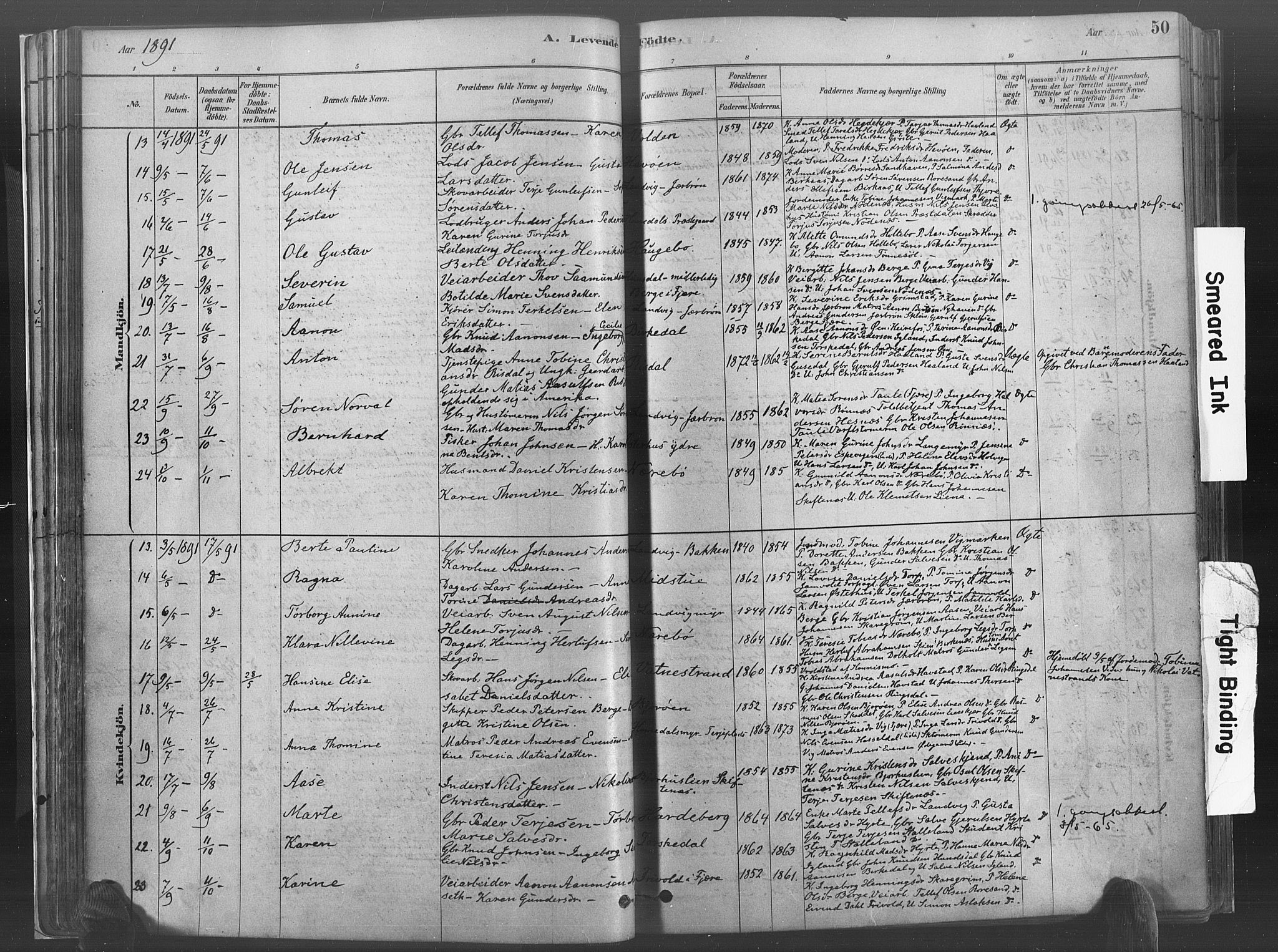 Hommedal sokneprestkontor, SAK/1111-0023/F/Fa/Fab/L0006: Parish register (official) no. A 6, 1878-1897, p. 50