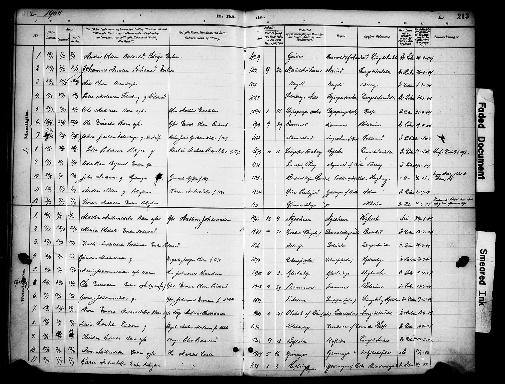 Ringsaker prestekontor, SAH/PREST-014/K/Ka/L0016: Parish register (official) no. 16, 1891-1904, p. 213