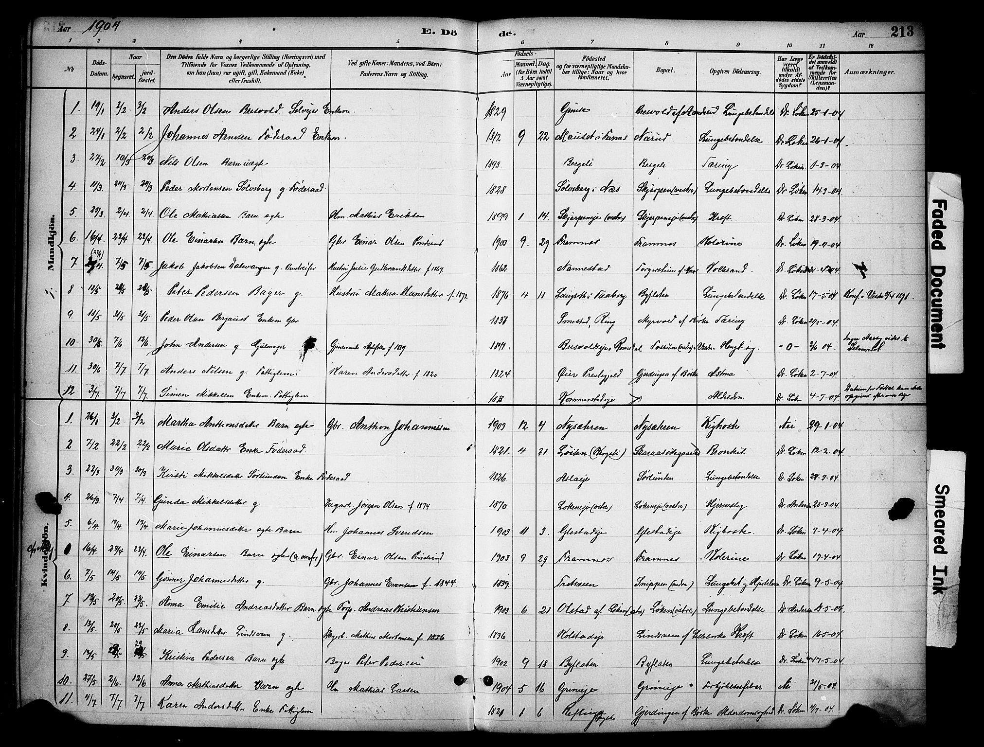 Ringsaker prestekontor, AV/SAH-PREST-014/K/Ka/L0016: Parish register (official) no. 16, 1891-1904, p. 213