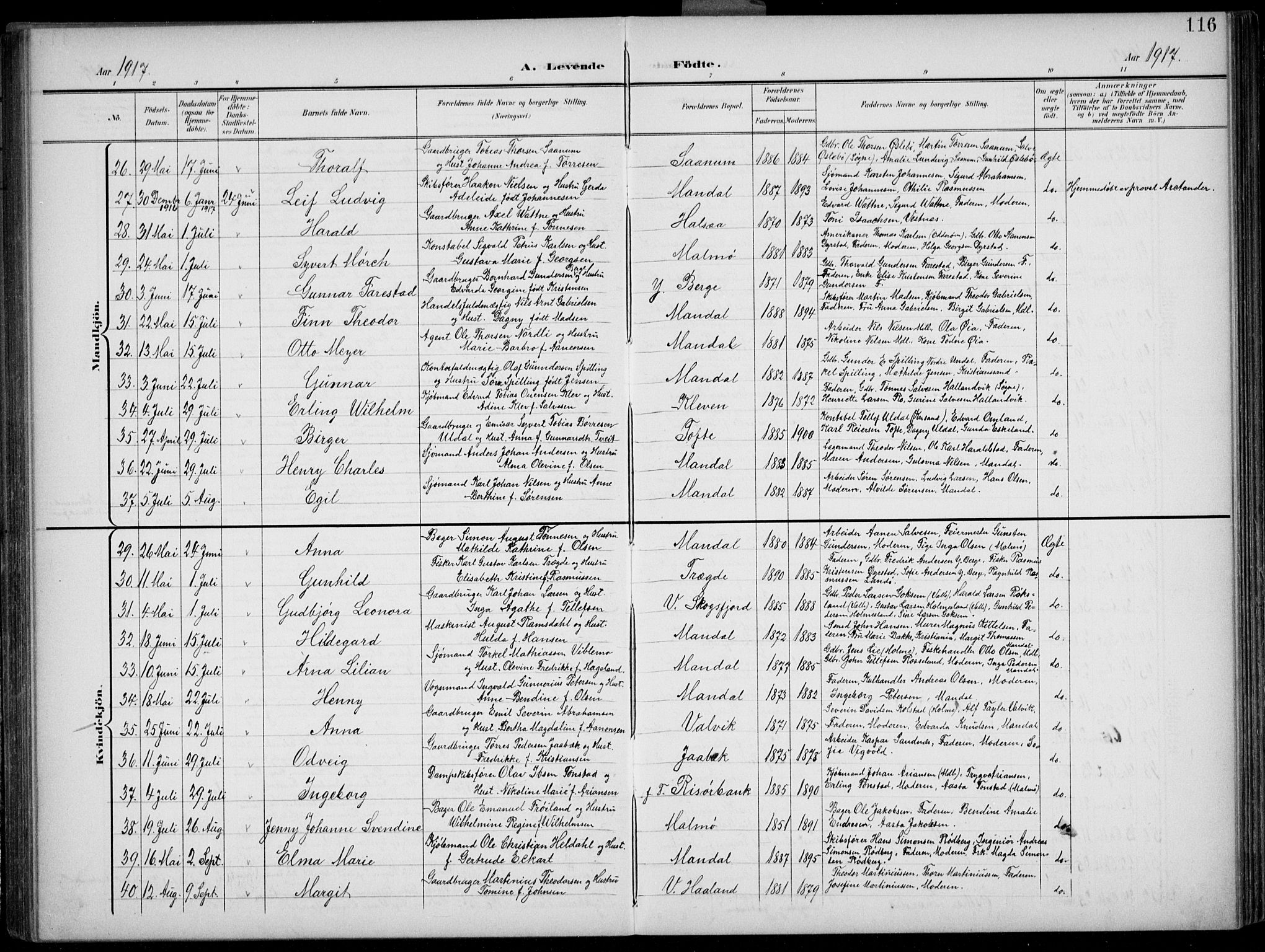 Mandal sokneprestkontor, AV/SAK-1111-0030/F/Fb/Fba/L0012: Parish register (copy) no. B 6, 1899-1918, p. 116