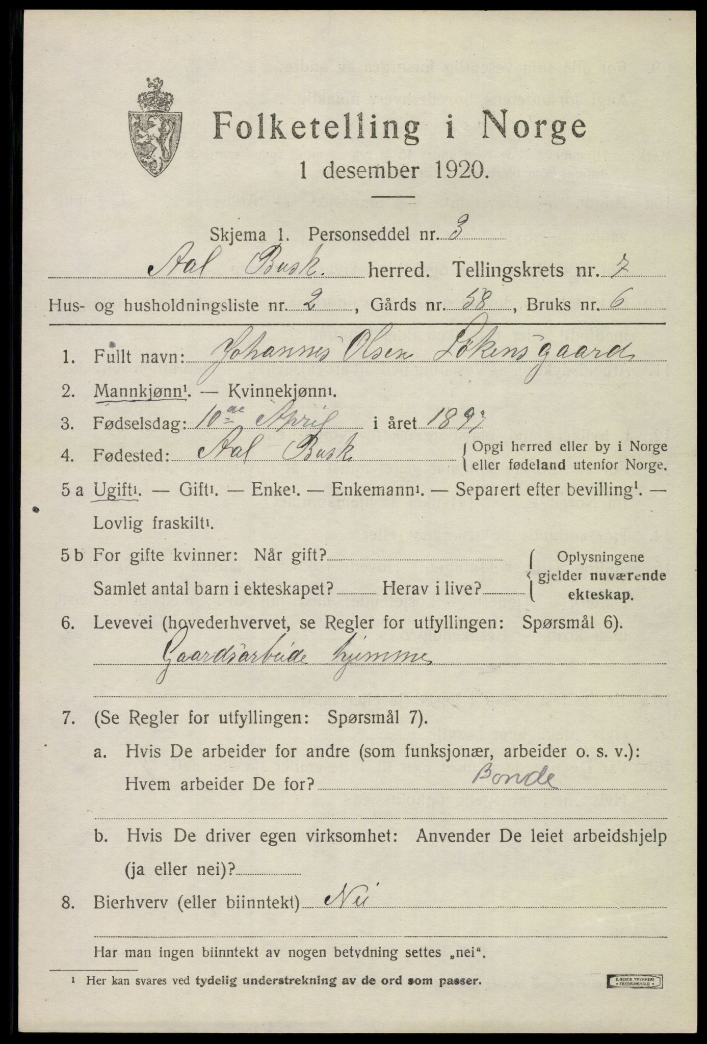 SAKO, 1920 census for Ål, 1920, p. 4804