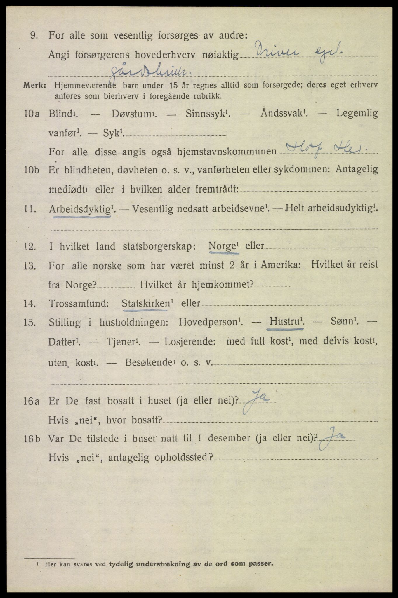 SAH, 1920 census for Hof, 1920, p. 2914