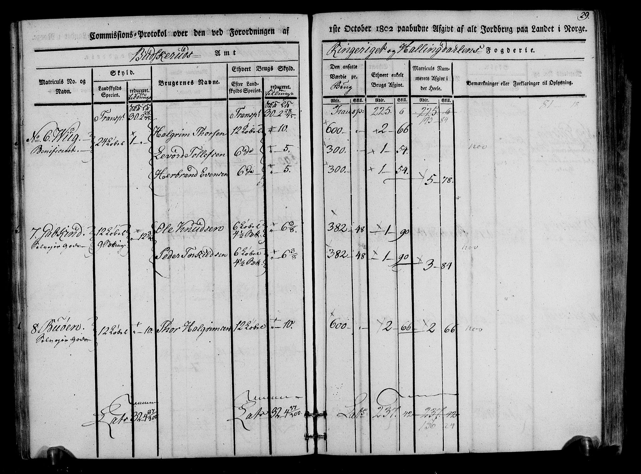 Rentekammeret inntil 1814, Realistisk ordnet avdeling, RA/EA-4070/N/Ne/Nea/L0047: Ringerike og Hallingdal fogderi. Kommisjonsprotokoll for Nes prestegjeld, 1803, p. 31