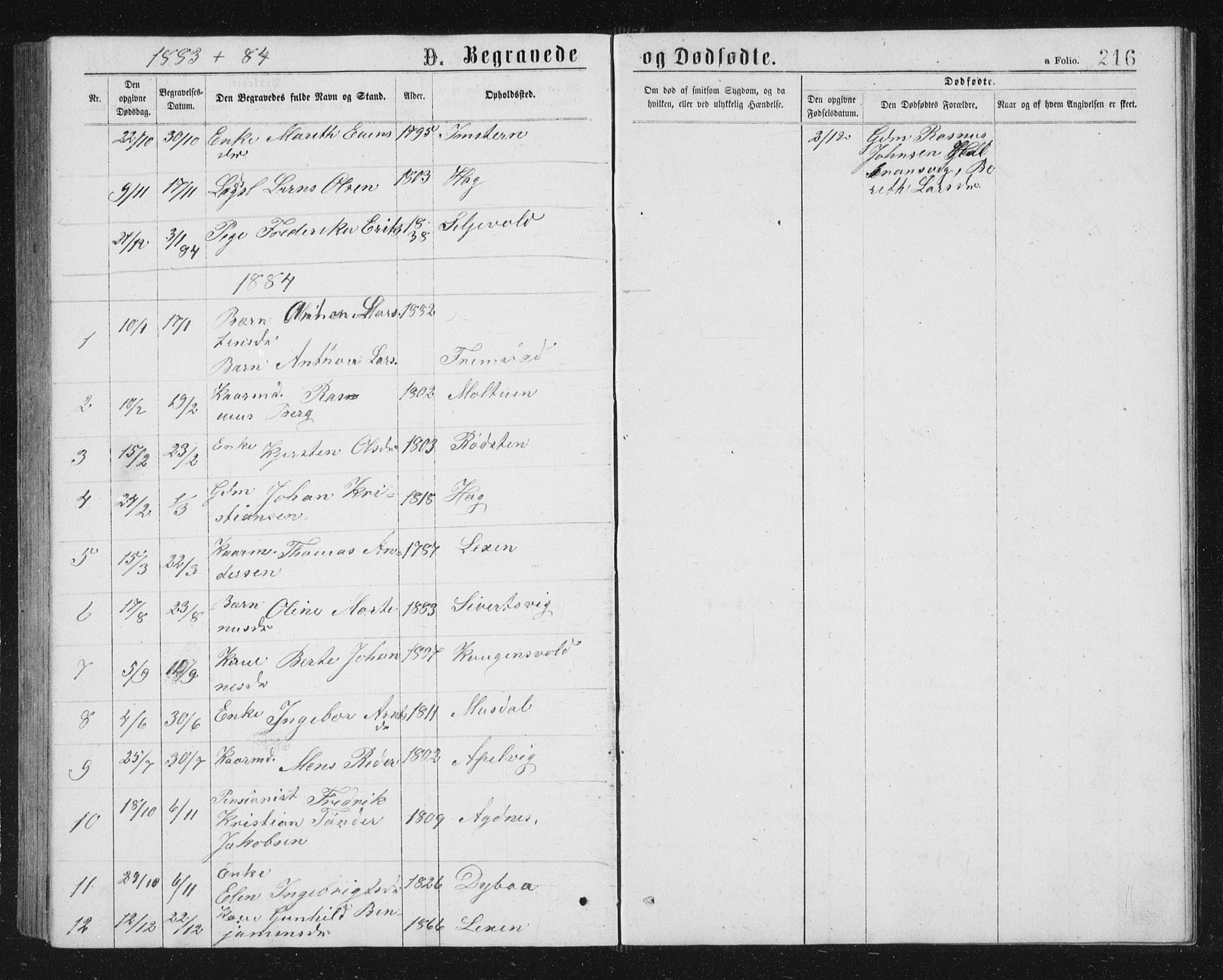 Ministerialprotokoller, klokkerbøker og fødselsregistre - Sør-Trøndelag, SAT/A-1456/662/L0756: Parish register (copy) no. 662C01, 1869-1891, p. 216