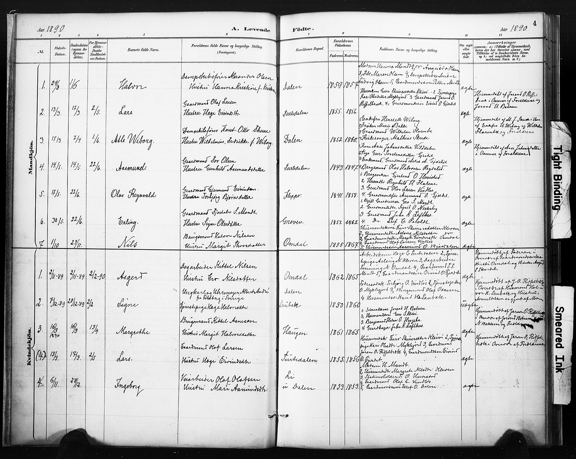 Lårdal kirkebøker, SAKO/A-284/F/Fb/L0002: Parish register (official) no. II 2, 1887-1918, p. 4
