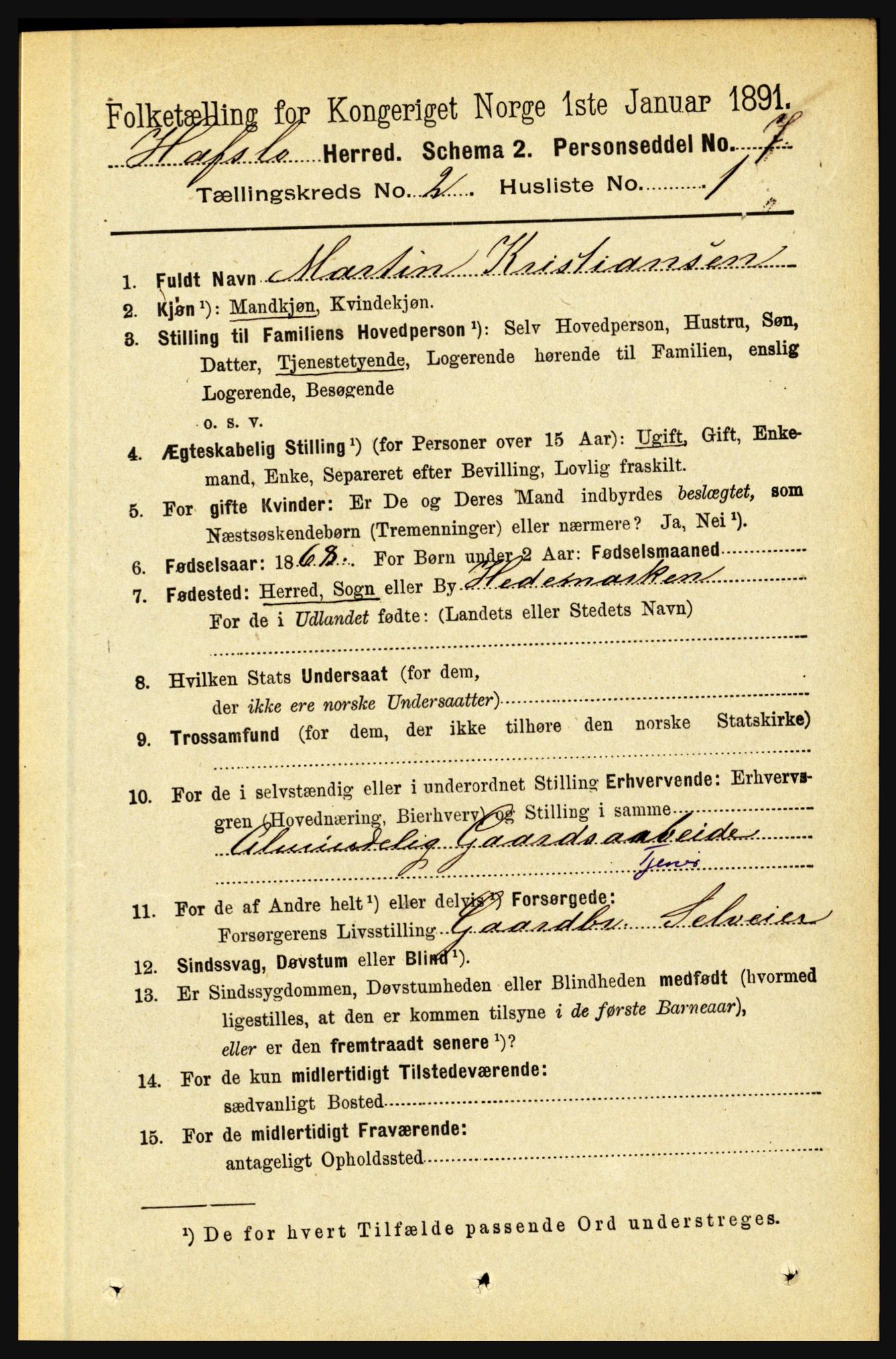 RA, 1891 census for 1425 Hafslo, 1891, p. 549