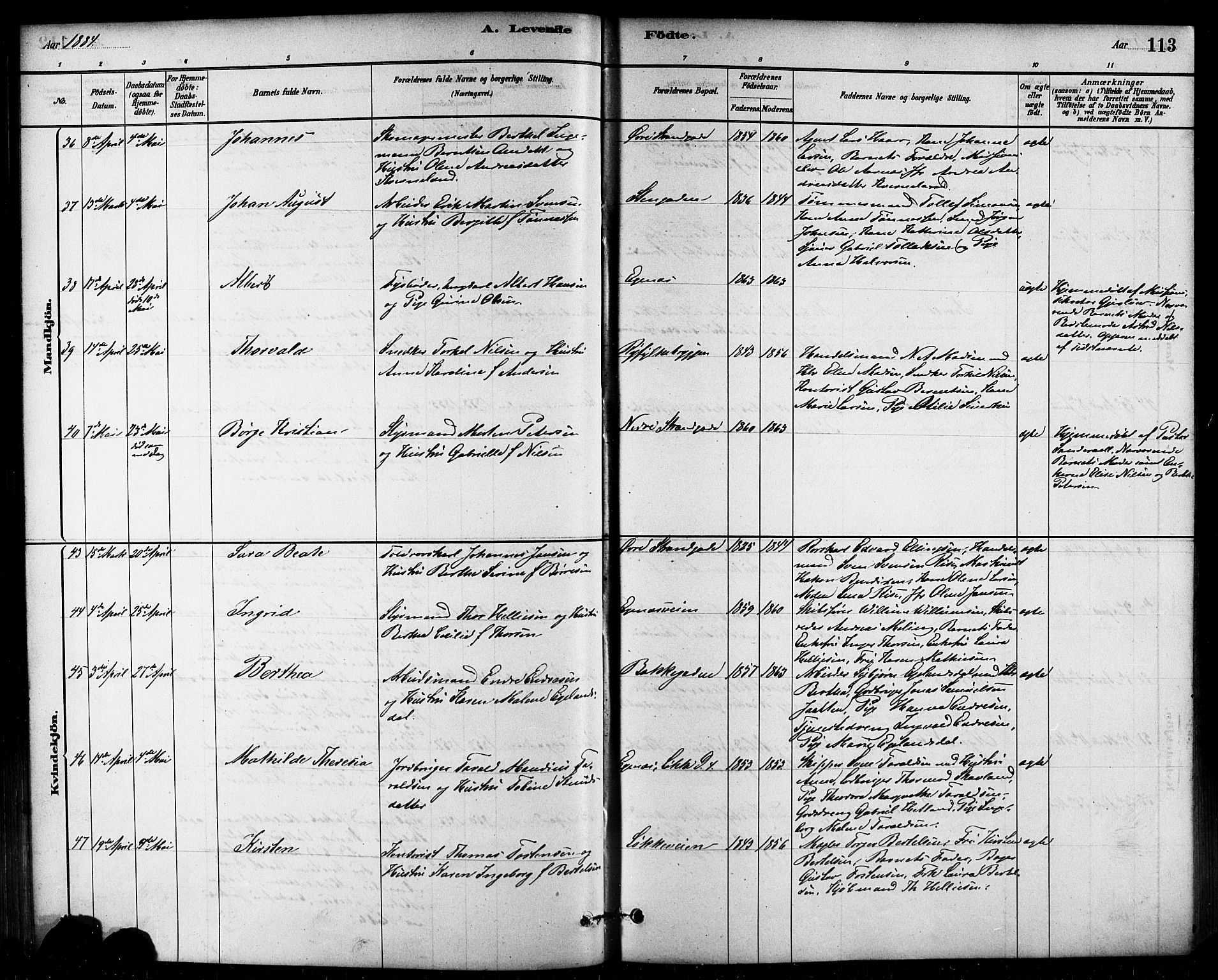 Domkirken sokneprestkontor, AV/SAST-A-101812/001/30/30BB/L0015: Parish register (copy) no. B 15, 1880-1891, p. 113