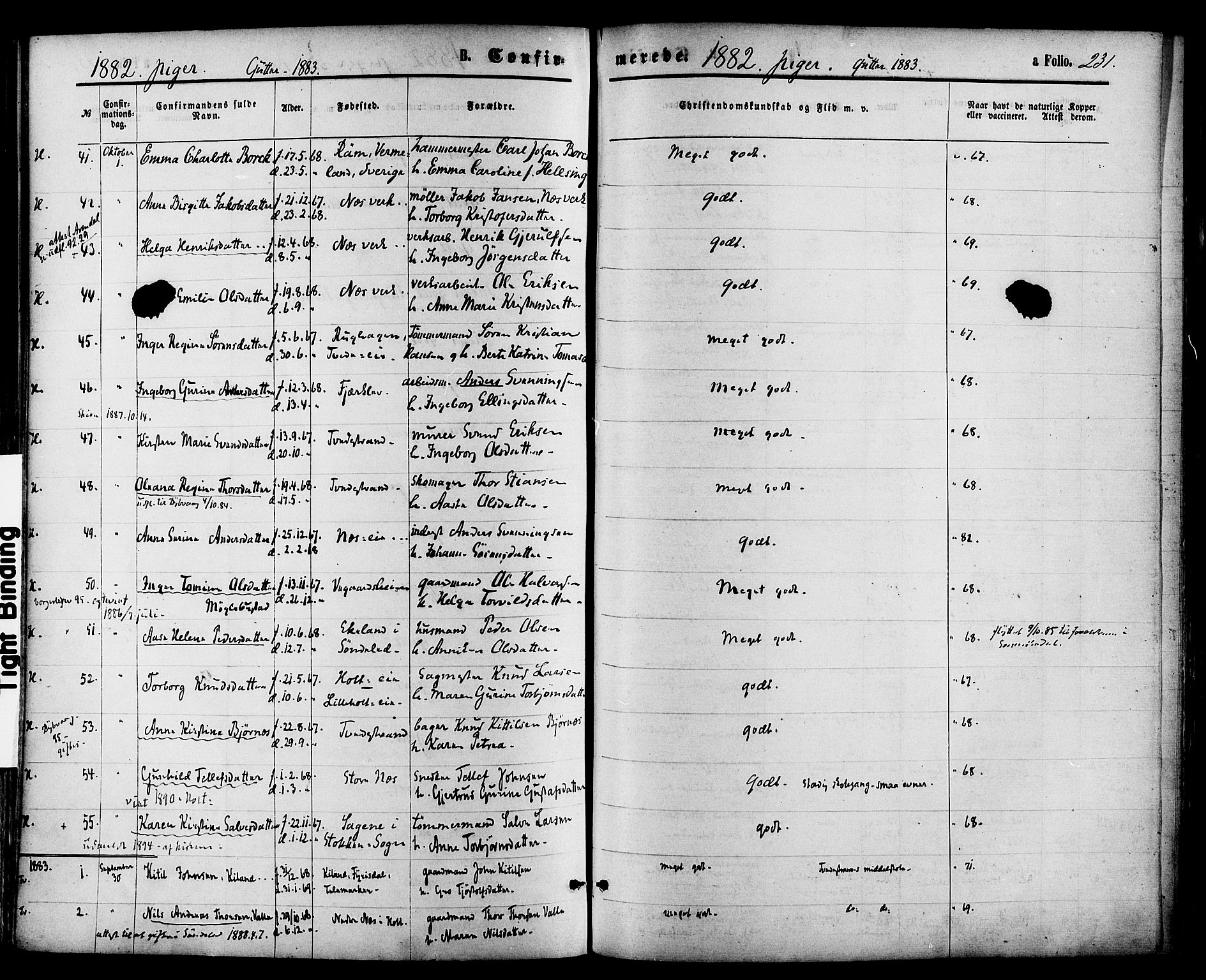 Holt sokneprestkontor, AV/SAK-1111-0021/F/Fa/L0010: Parish register (official) no. A 10, 1872-1885, p. 231