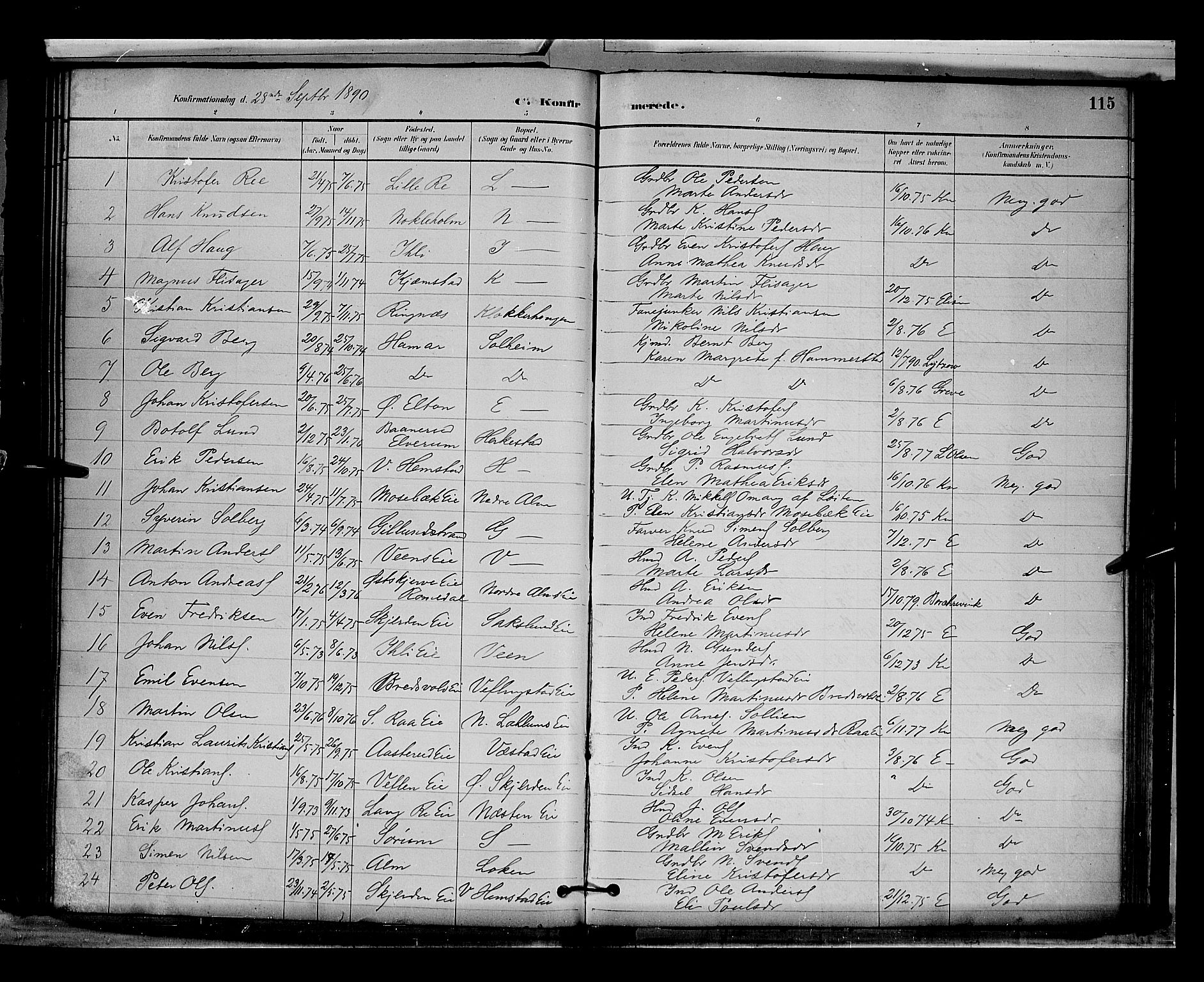 Stange prestekontor, AV/SAH-PREST-002/L/L0009: Parish register (copy) no. 9, 1883-1899, p. 115